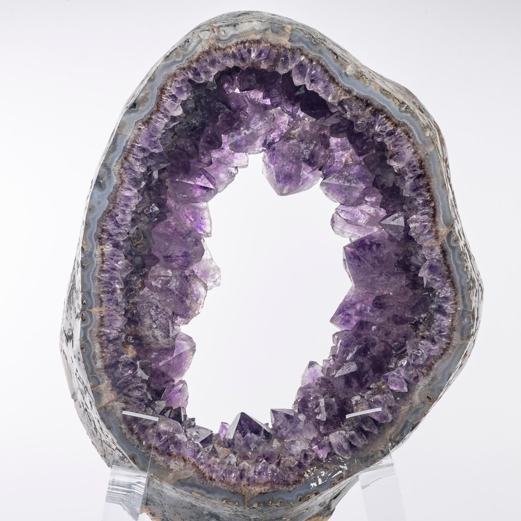 Uruguay Amethyst-Quarz-Kristall-Geode auf maßgefertigtem Acrylsockel im Zustand „Neu“ im Angebot in Polanco, CDMX