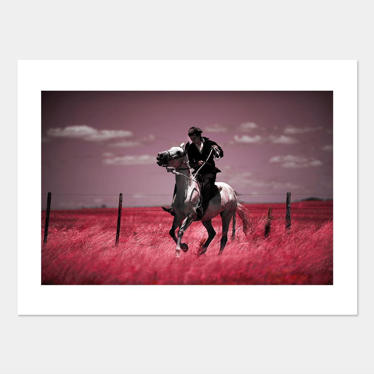 Uruguayan Gaucho 
In the style of infrared film which turns all things green into pink.
1/25 

From Horses and Humans Collection By Vanessa Taylor.

Also available in different sizes.
