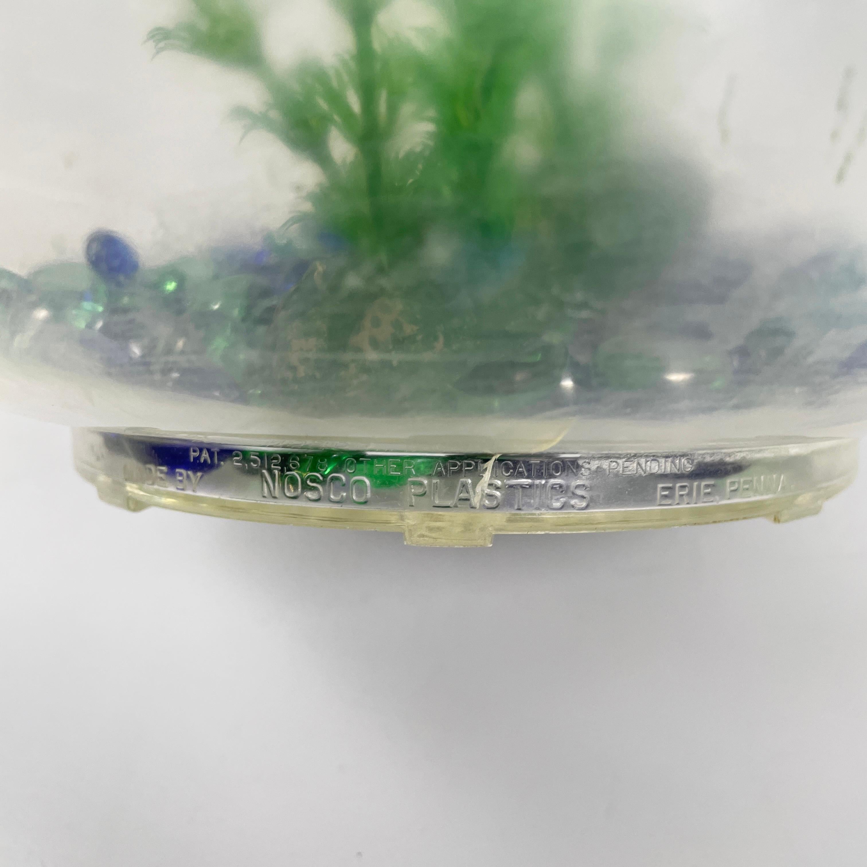 USA plastique table aquarium Aqua-Loop Mt. Parnell Fisheries Nosco Plastic 1950s en vente 7