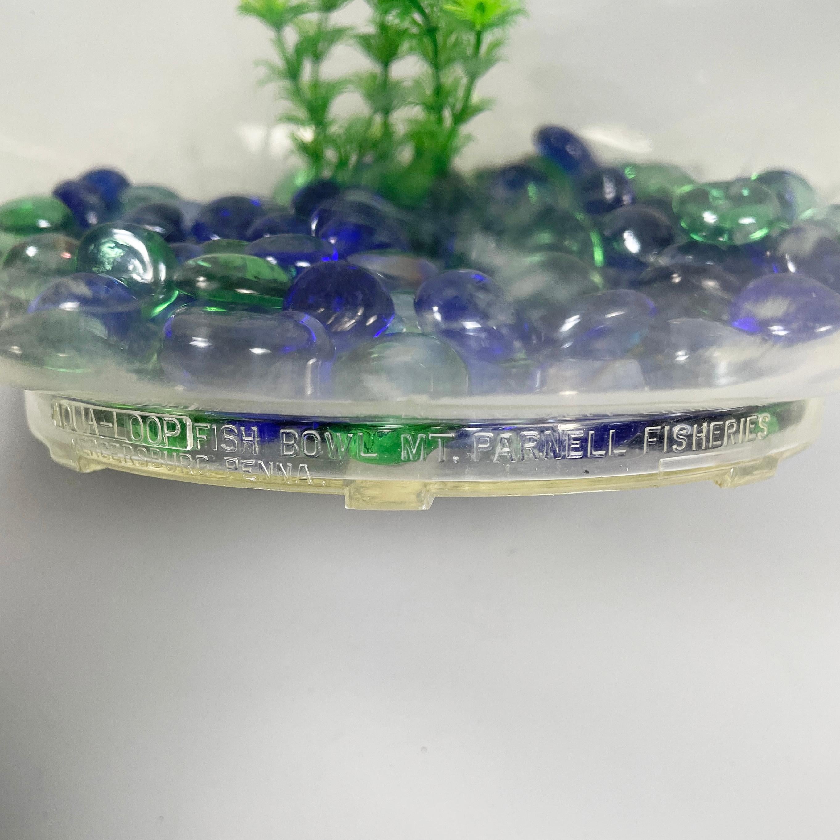 USA plastique table aquarium Aqua-Loop Mt. Parnell Fisheries Nosco Plastic 1950s en vente 8