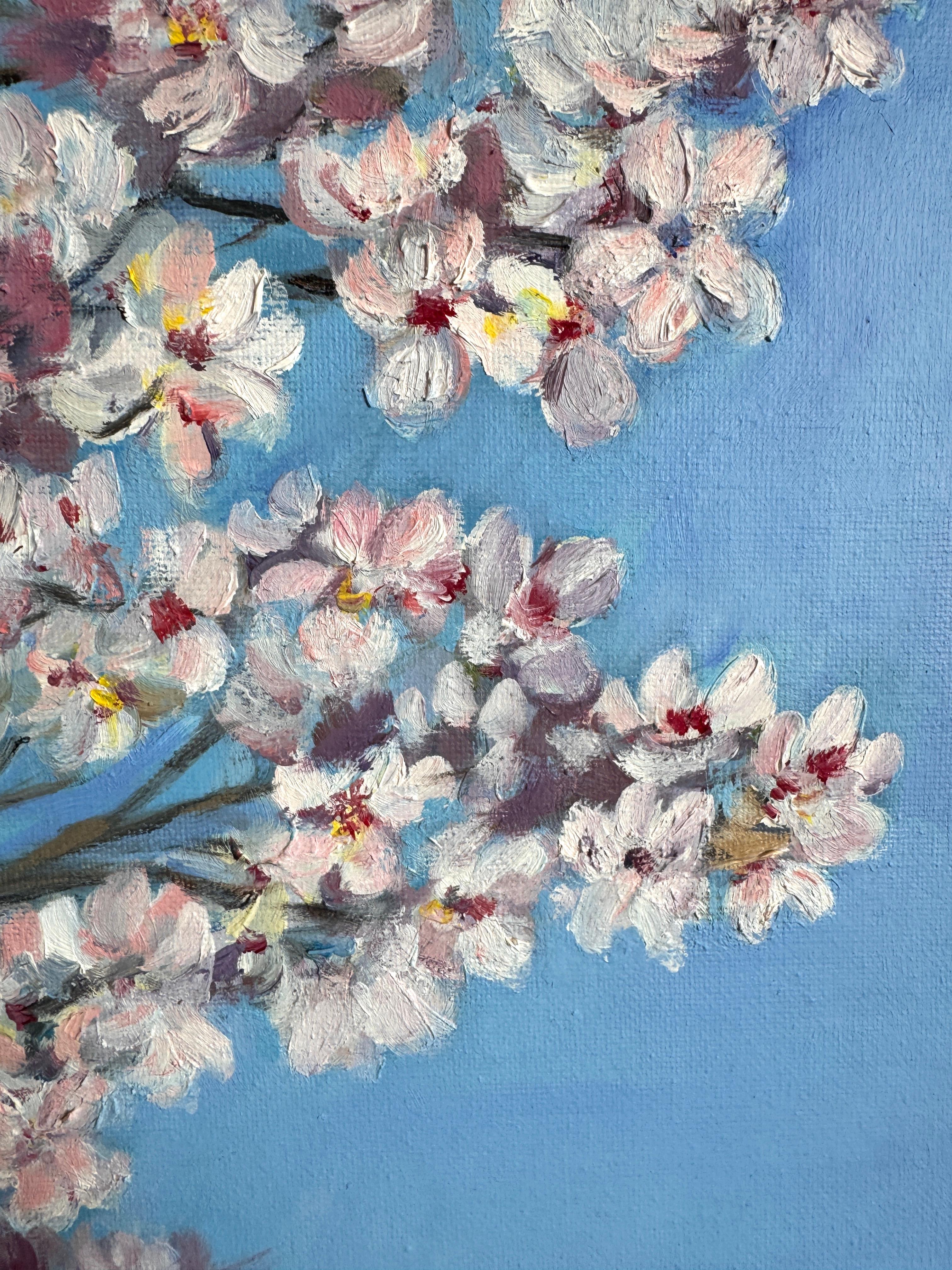 Melo in fiore in vendita 2