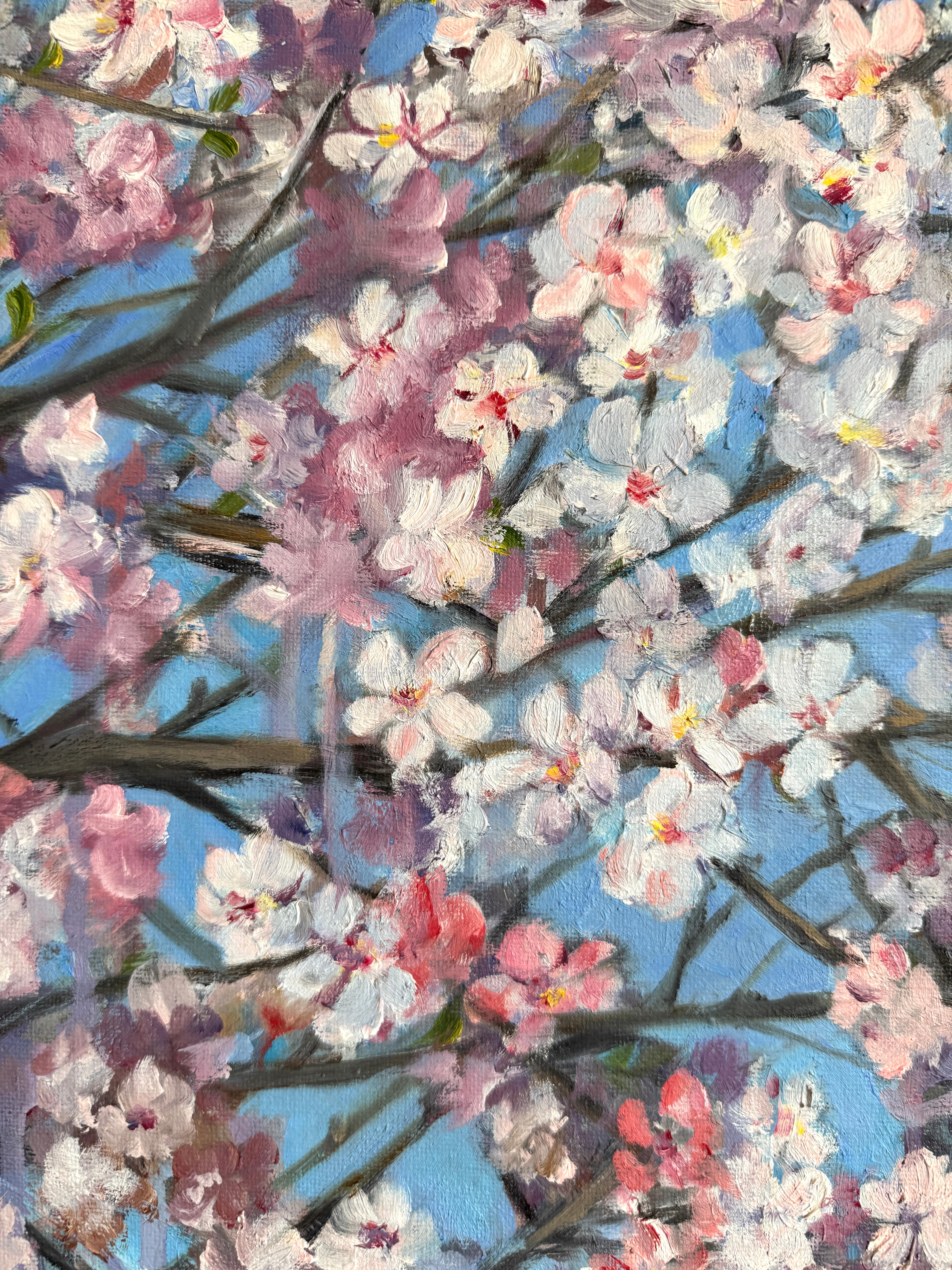 Melo in fiore in vendita 3