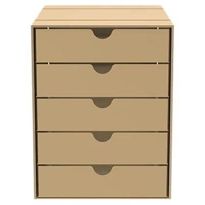 Set di 5 cassetti USM Inos dell'architetto svizzero Fritz Haller e Paul Schaerer