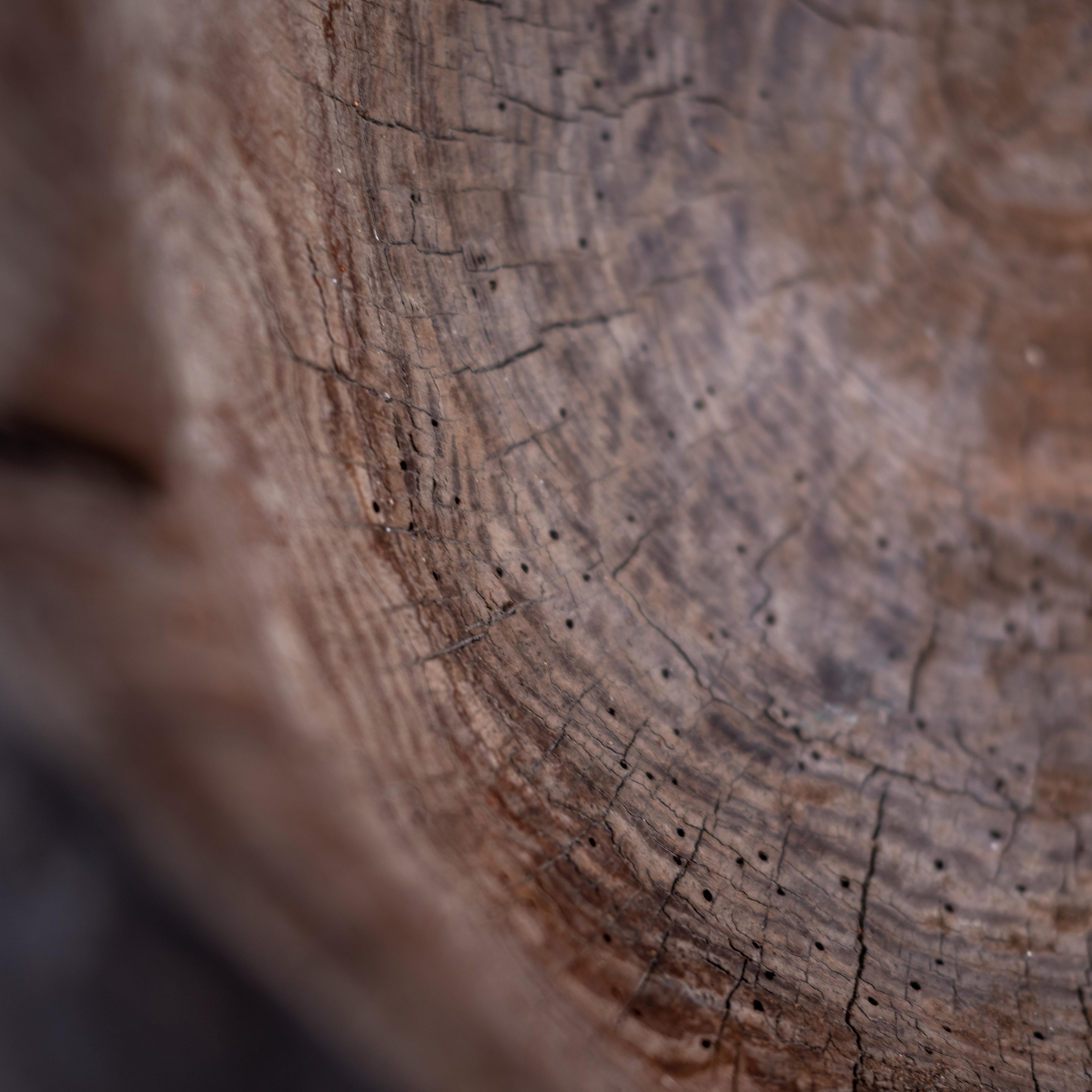 Wood 