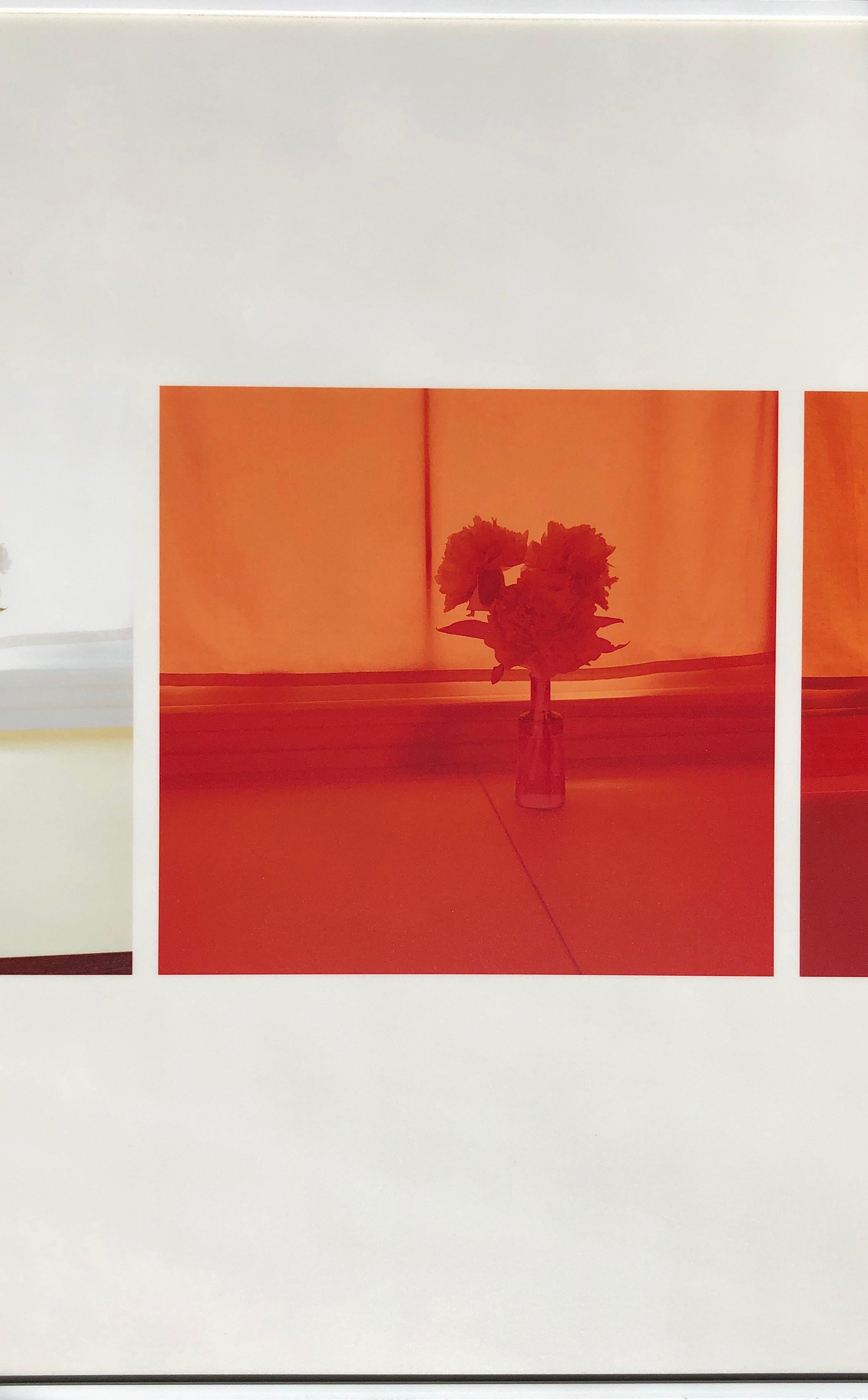 Sans titre (2005.A) - Photograph de Uta Barth