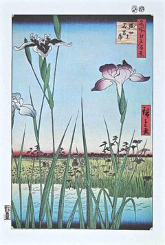 Iris Garden - Original Lithograph After Hiroshige- Mid 20th Century