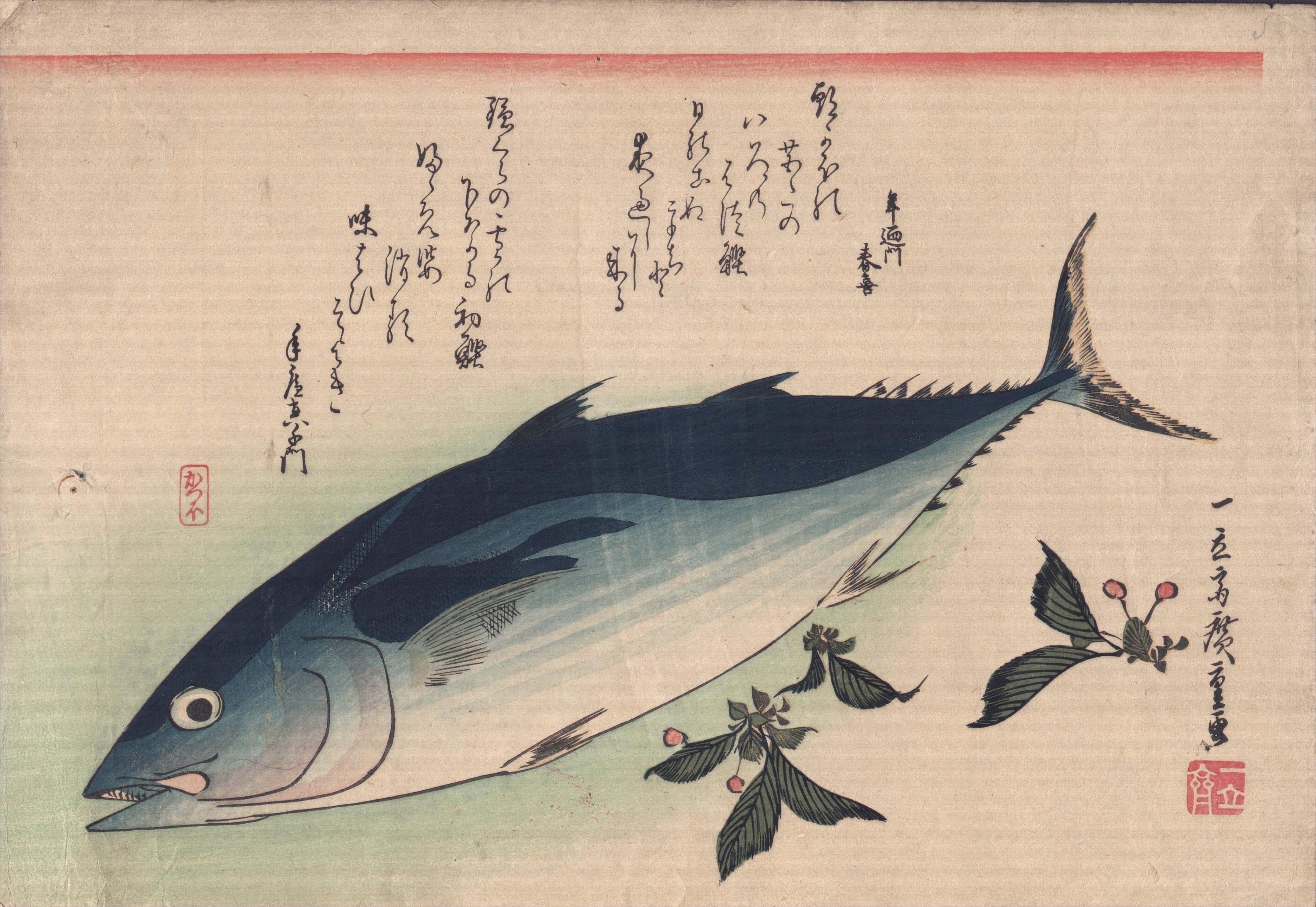 Utagawa Hiroshige (1797-1858) 

Bonito e sassifraga (魚尽くし 鰹), da una serie nota come Grande pesce 

Dimensioni: Oban, 38 * 26,3 cm

Periodo Edo 

Un foro stenopeico a sinistra, per il resto ottima impressione e colore 