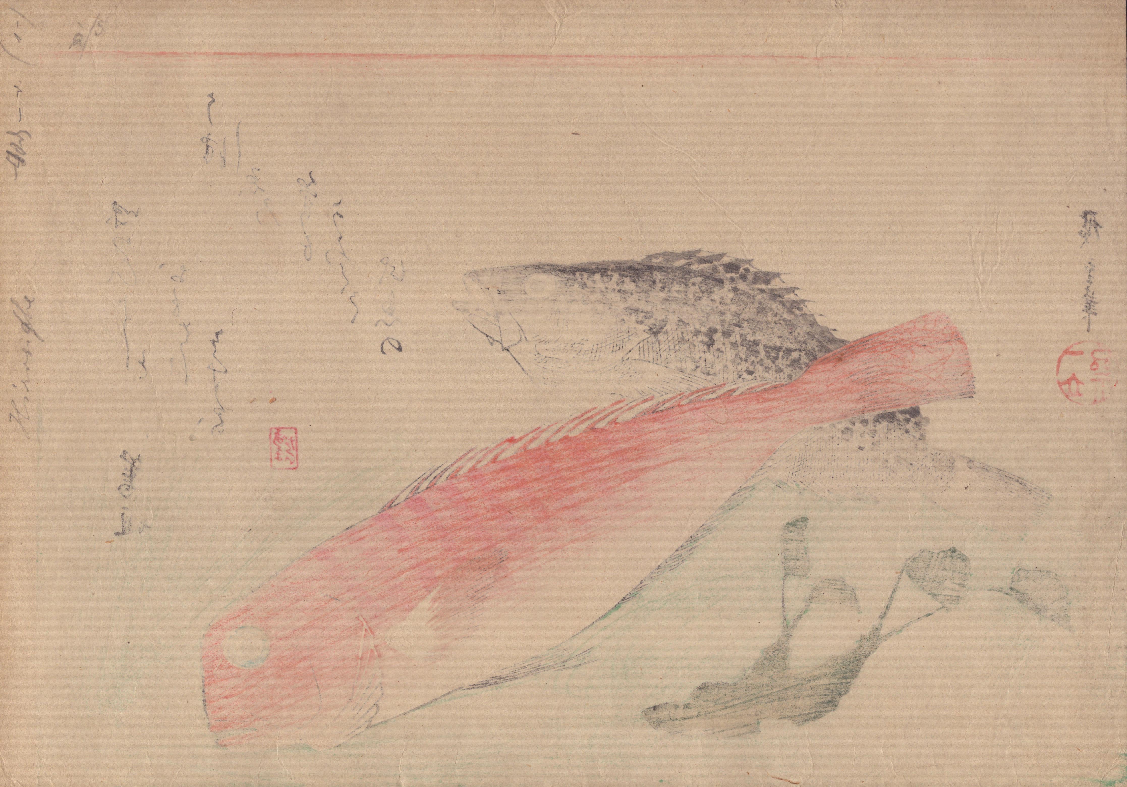 Utagawa Hiroshige (1797-1858) - Orata dolce, Mebaru e Rafano in vendita 1