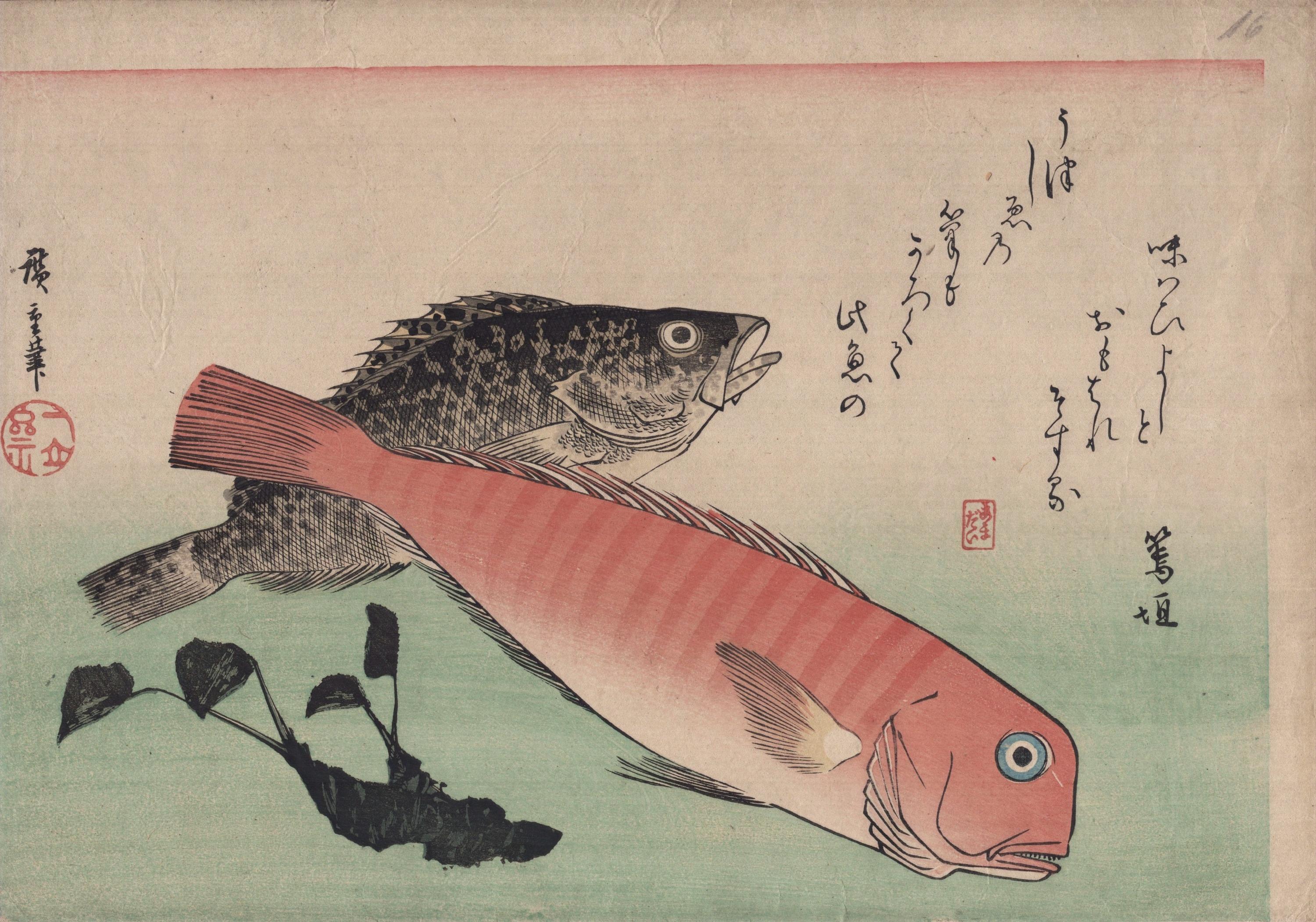 Utagawa Hiroshige (1797-1858) - Süße Meerbrasse, Mebaru und Meerrettich