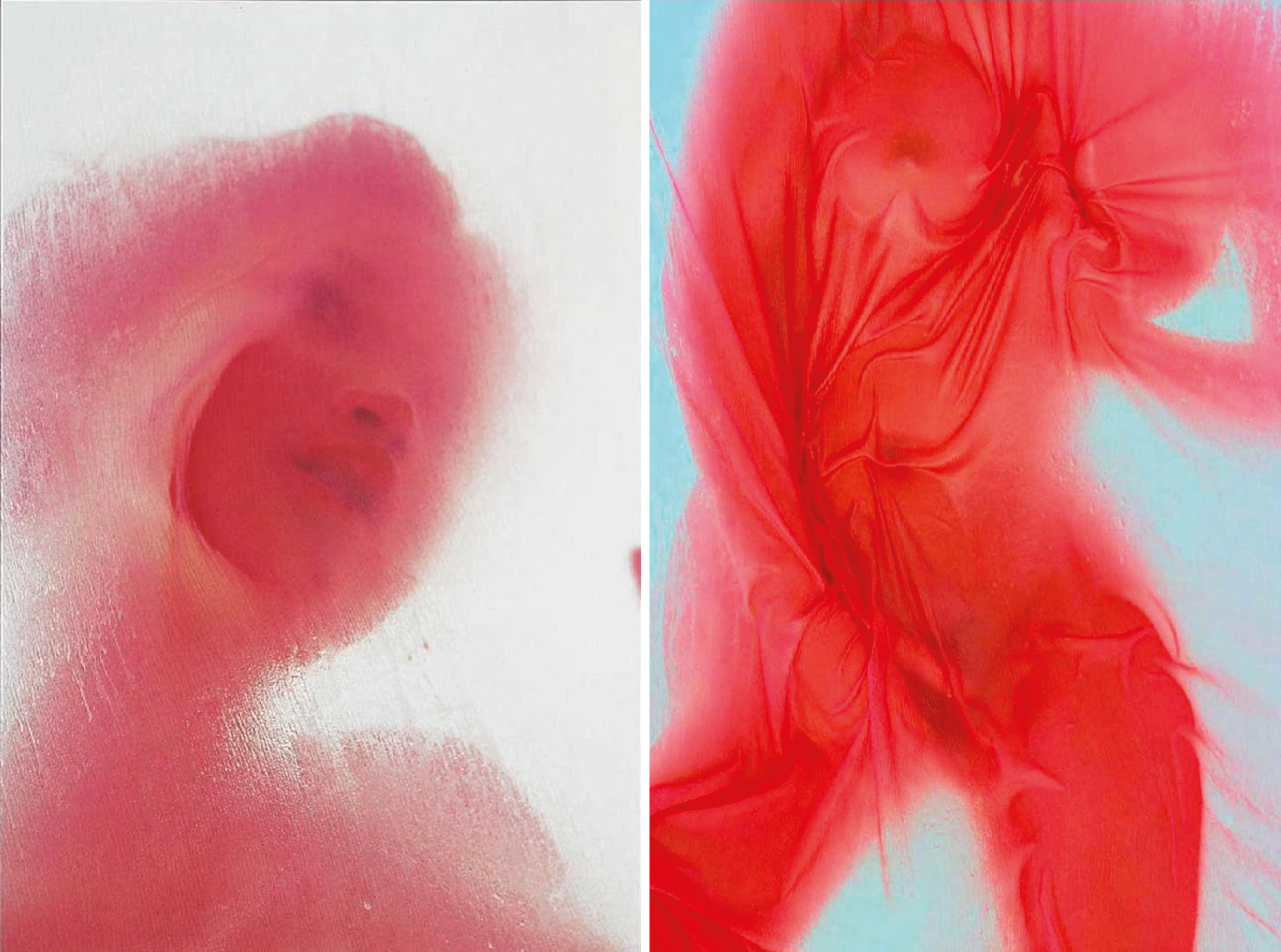 Diptych I, from the series Les Voiles. LImited Edition Color Photograph