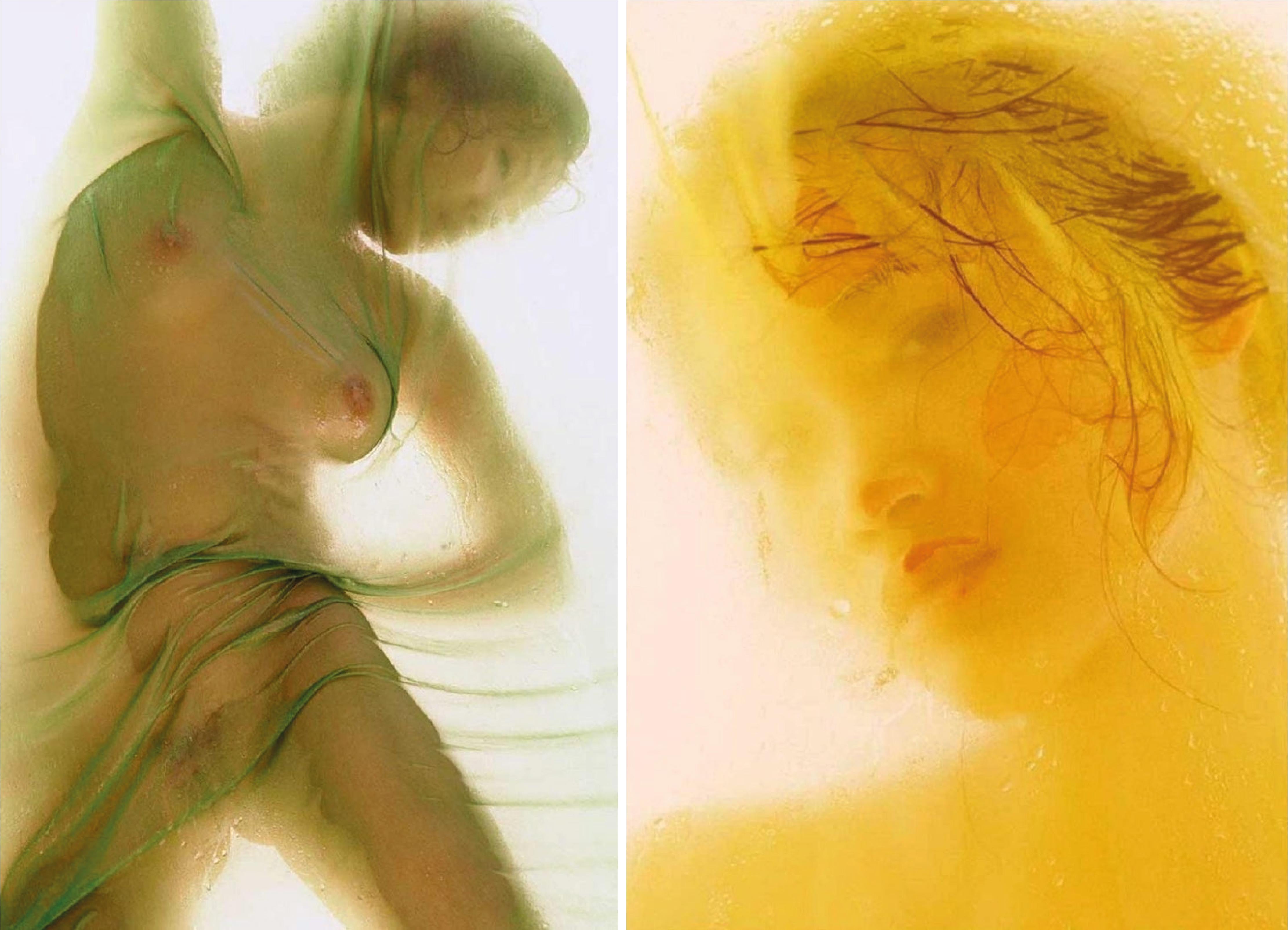 Diptych II, From the series Les Voiles. LImited Edition Color Photograph