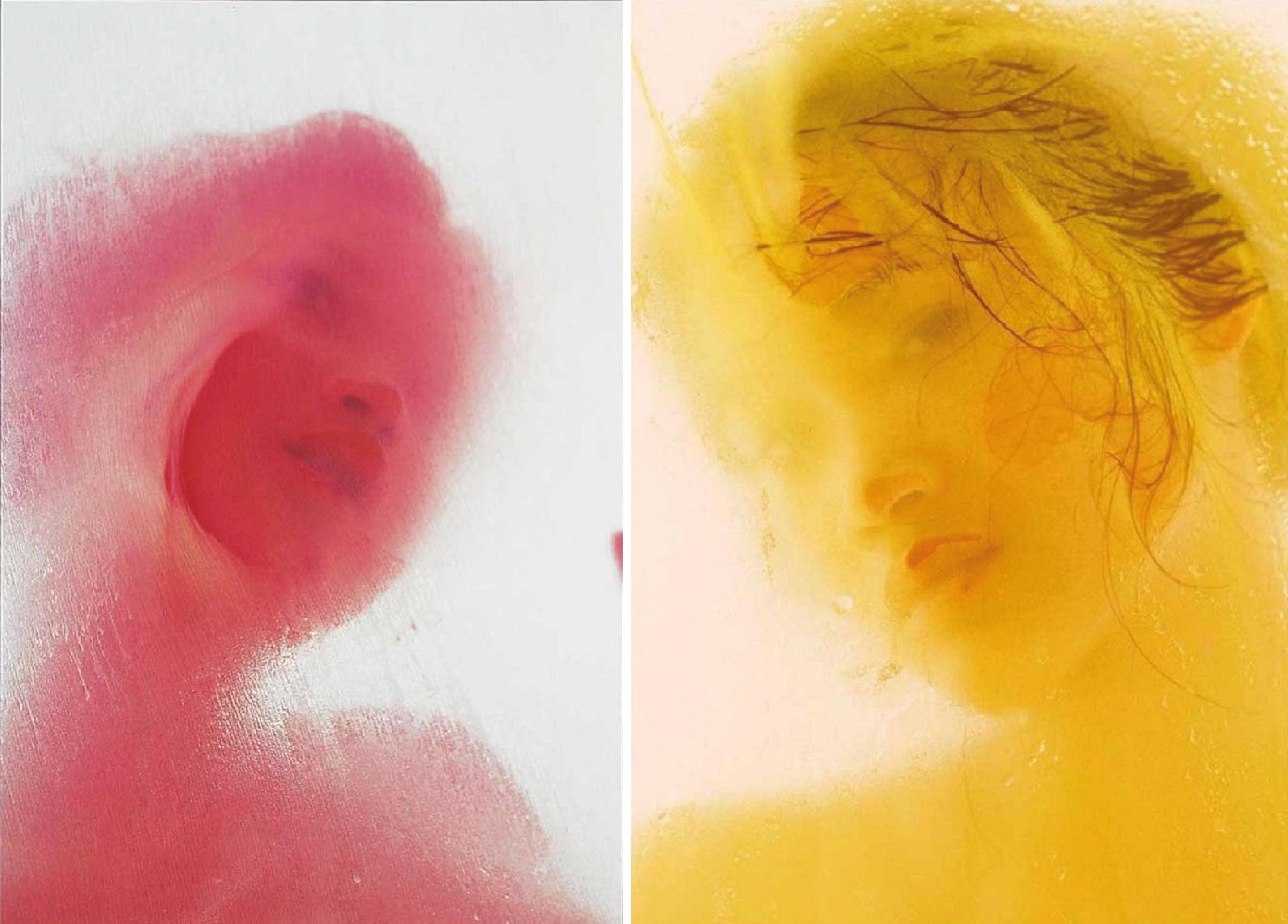 Diptych IV, From the series Les Voiles. LImited Edition Color Photograph