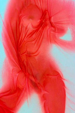 Polyptych II, from the series Les Voiles. LImited Edition Color Photograph