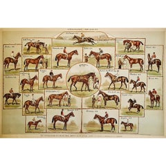 Circa 1890 Cartel original Auteuil Longchamp Gran Premio ganadores Carreras de caballos