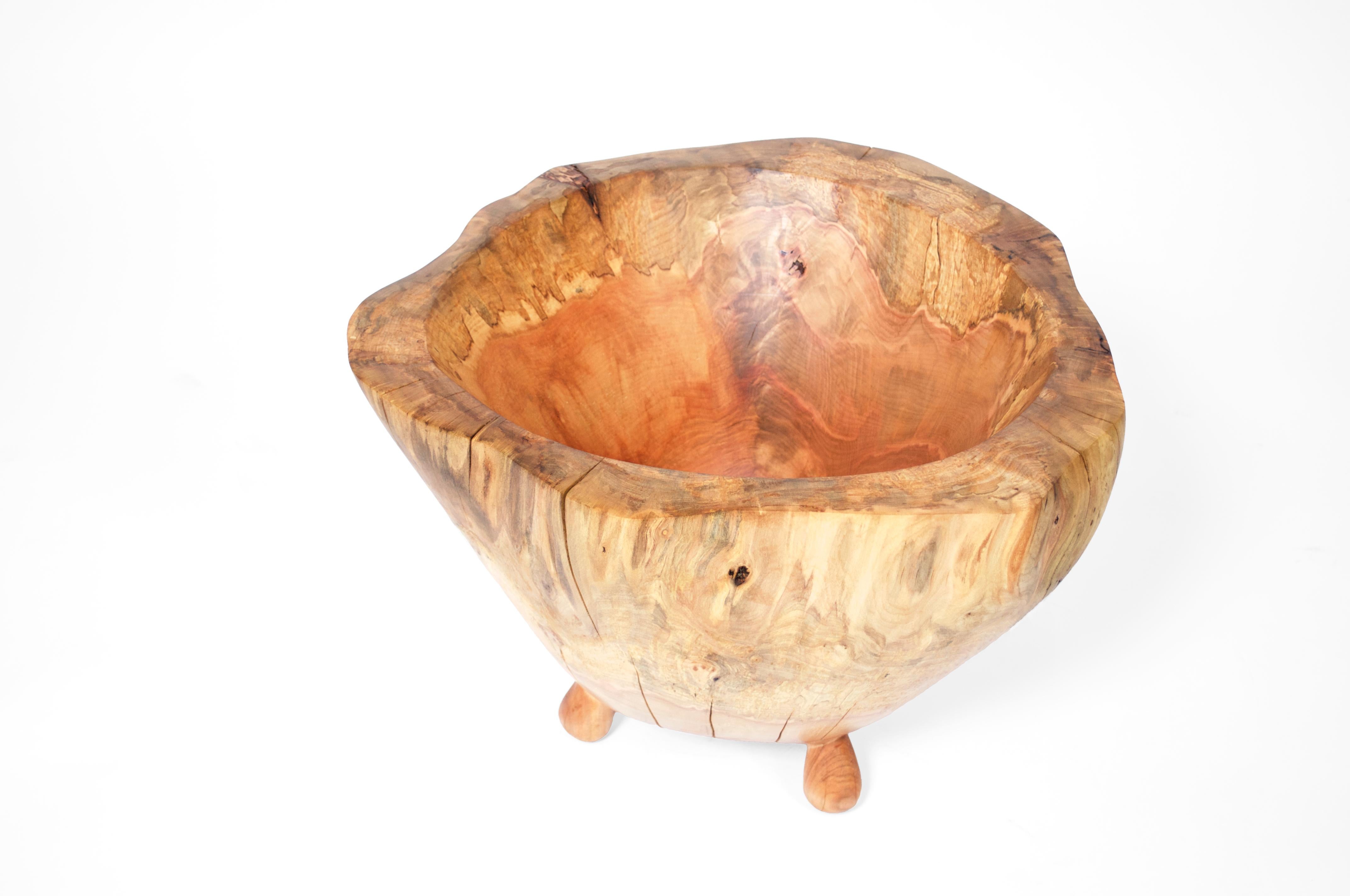 V1315 Vaso in Oak Wood naturale di Jörg Pietschmann
Dimensioni: P 53 x L 56 x H 39 cm.
Materiali: Legno di Oak.

Nelle sculture di Pietschmann, gli alberi che per secoli hanno fatto parte di un paesaggio e si sono fondati su forze primordiali