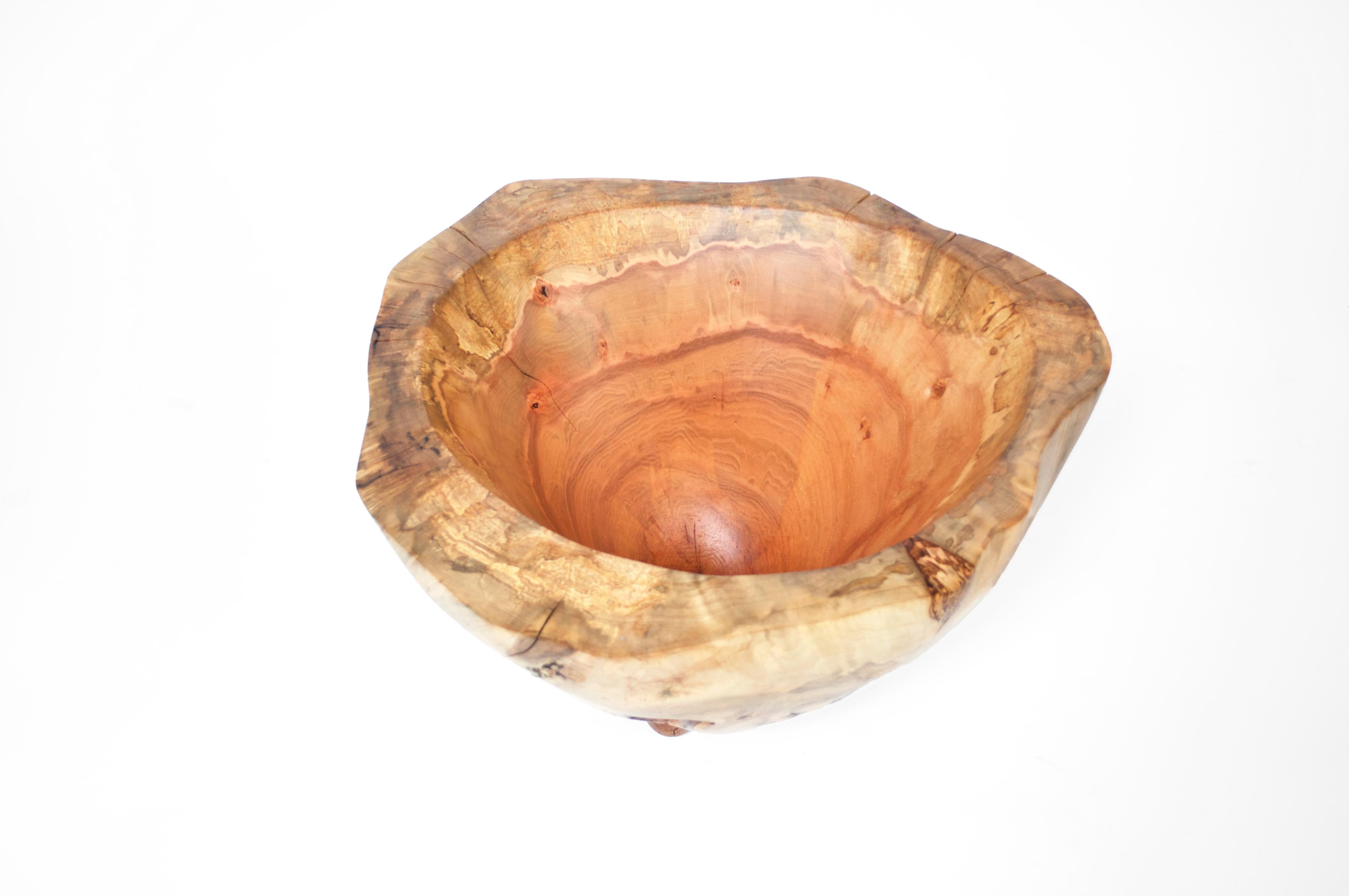 Quercia V1315 Vaso in Oak Wood naturale di Jörg Pietschmann in vendita