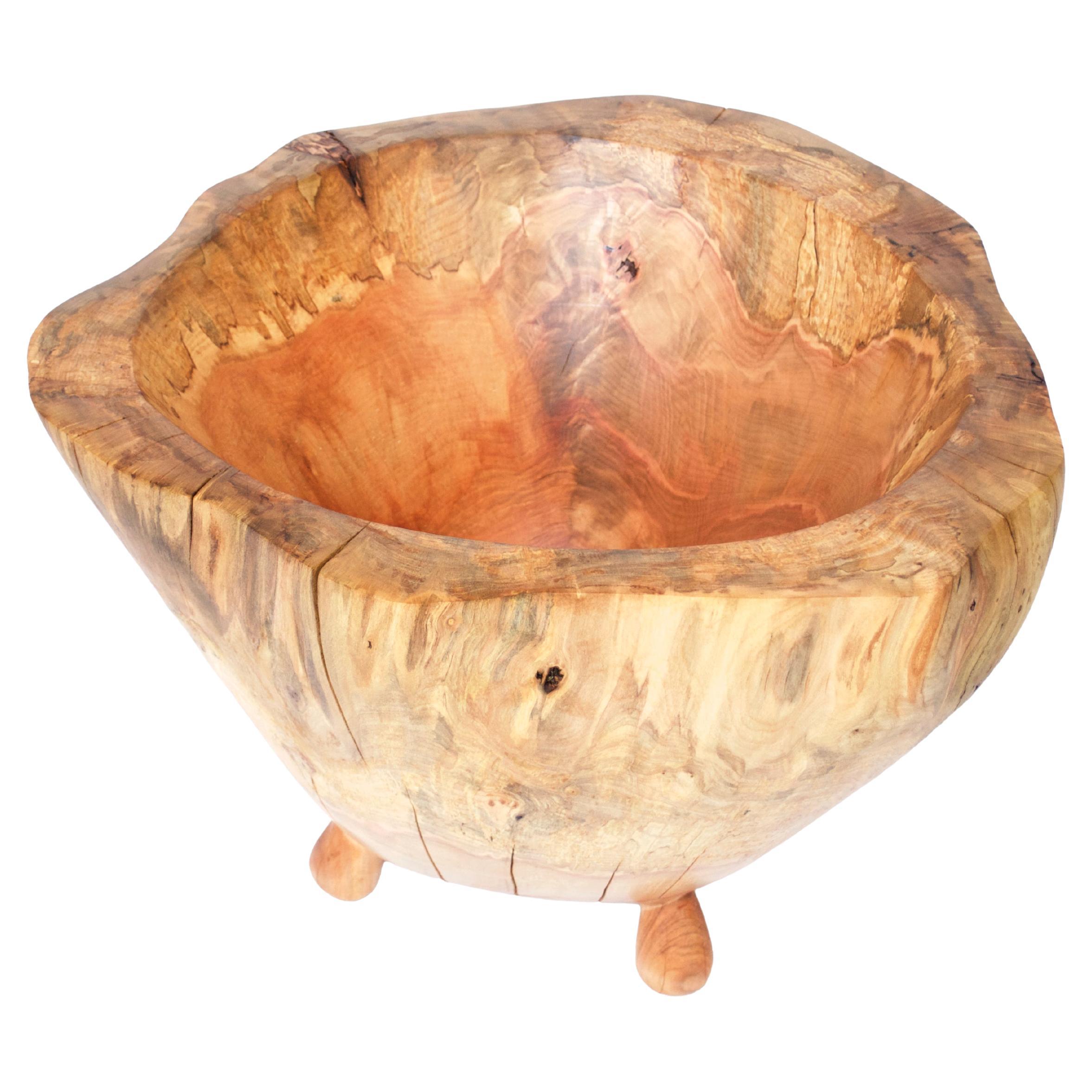V1315 Vaso in Oak Wood naturale di Jörg Pietschmann