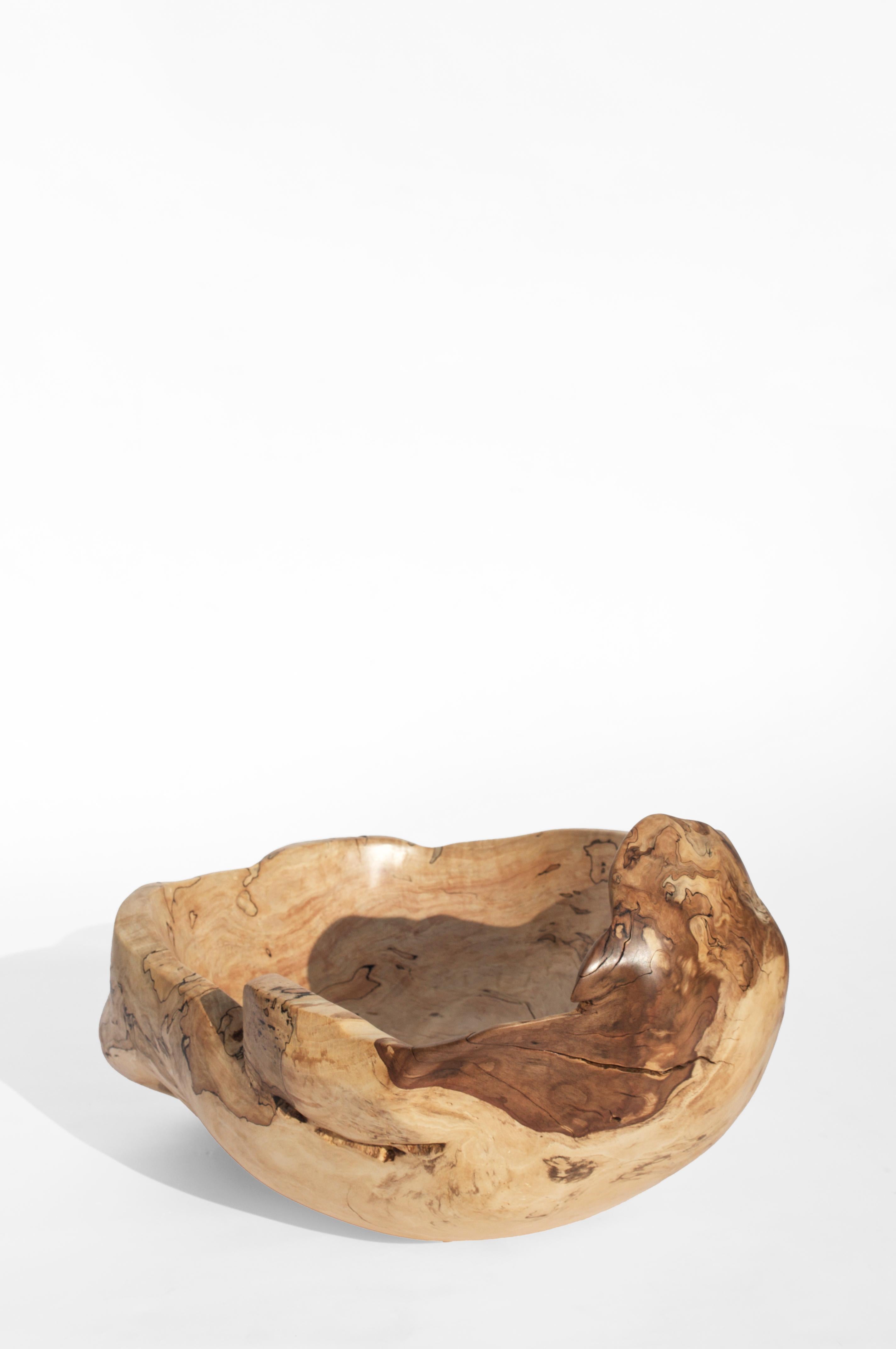V21034 Vessel in Natural Beech Wood by Jörg Pietschmann For Sale 4