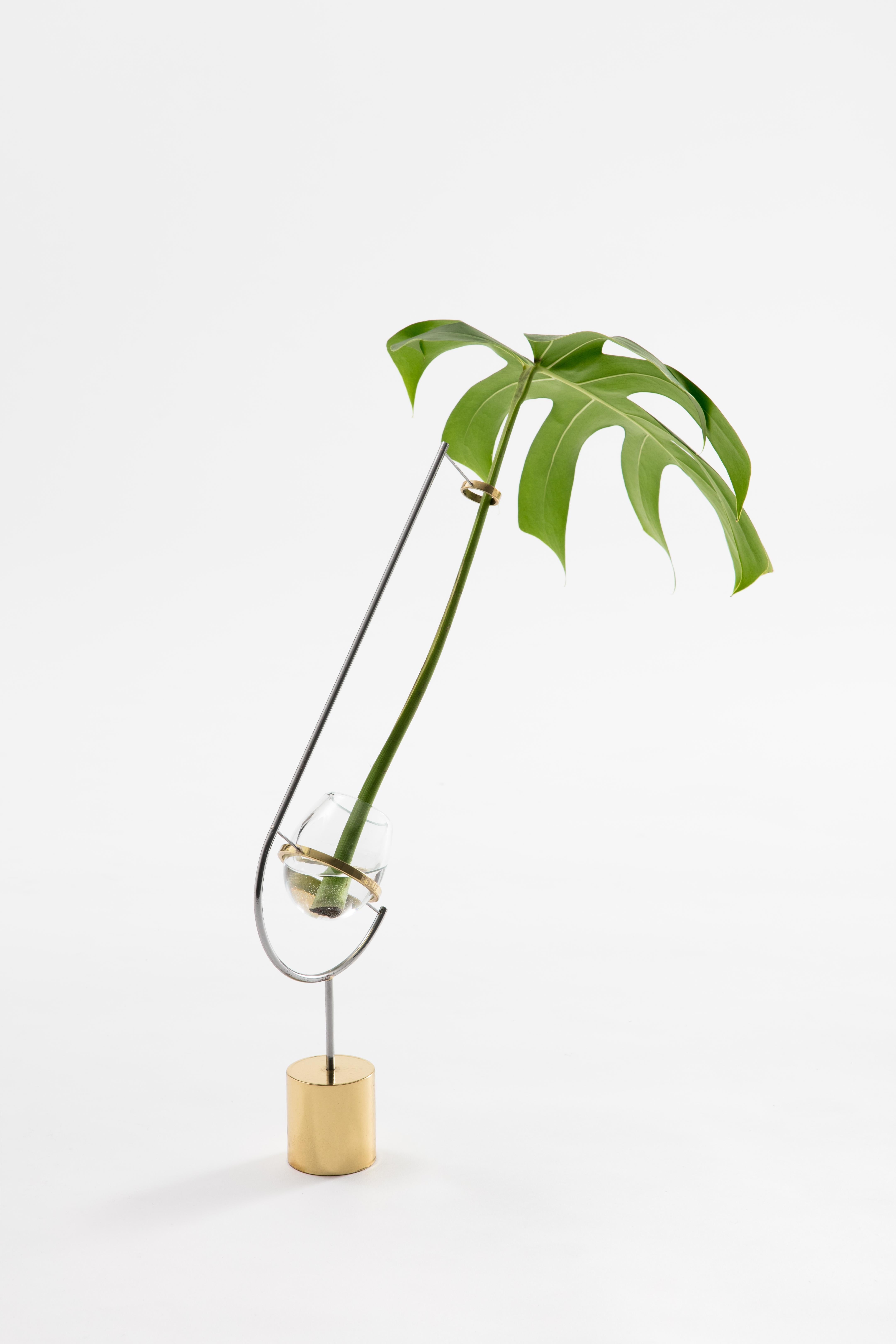 Contemporary Minimalist Messing und Glas Solitär Vase V3 (Internationaler Stil) im Angebot