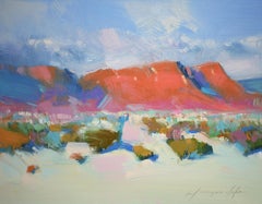 Desert View, Original oil Painting, Ready to Hang