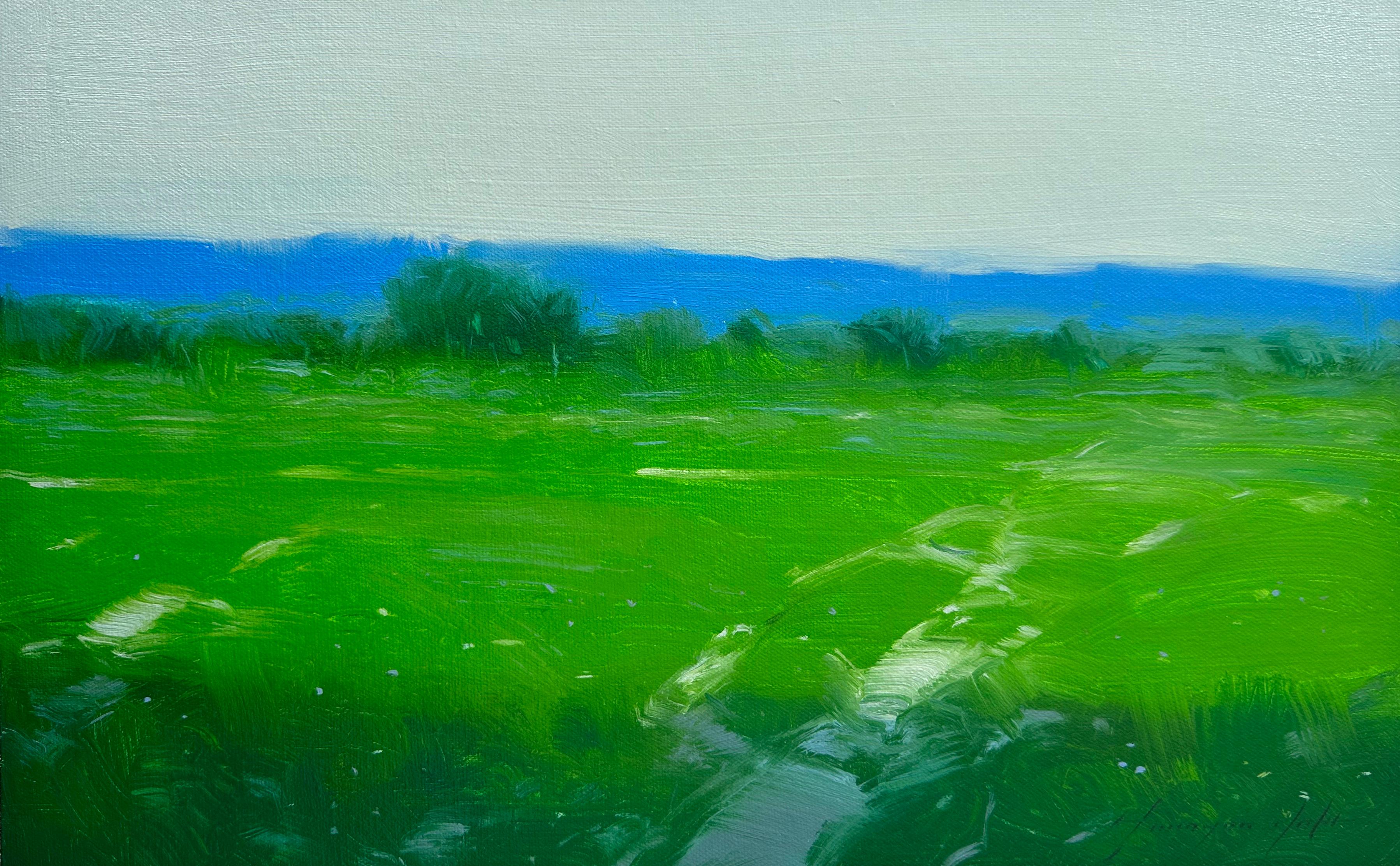Sommerfeld, Landschaft, Original-Ölgemälde in Öl, hängefertig