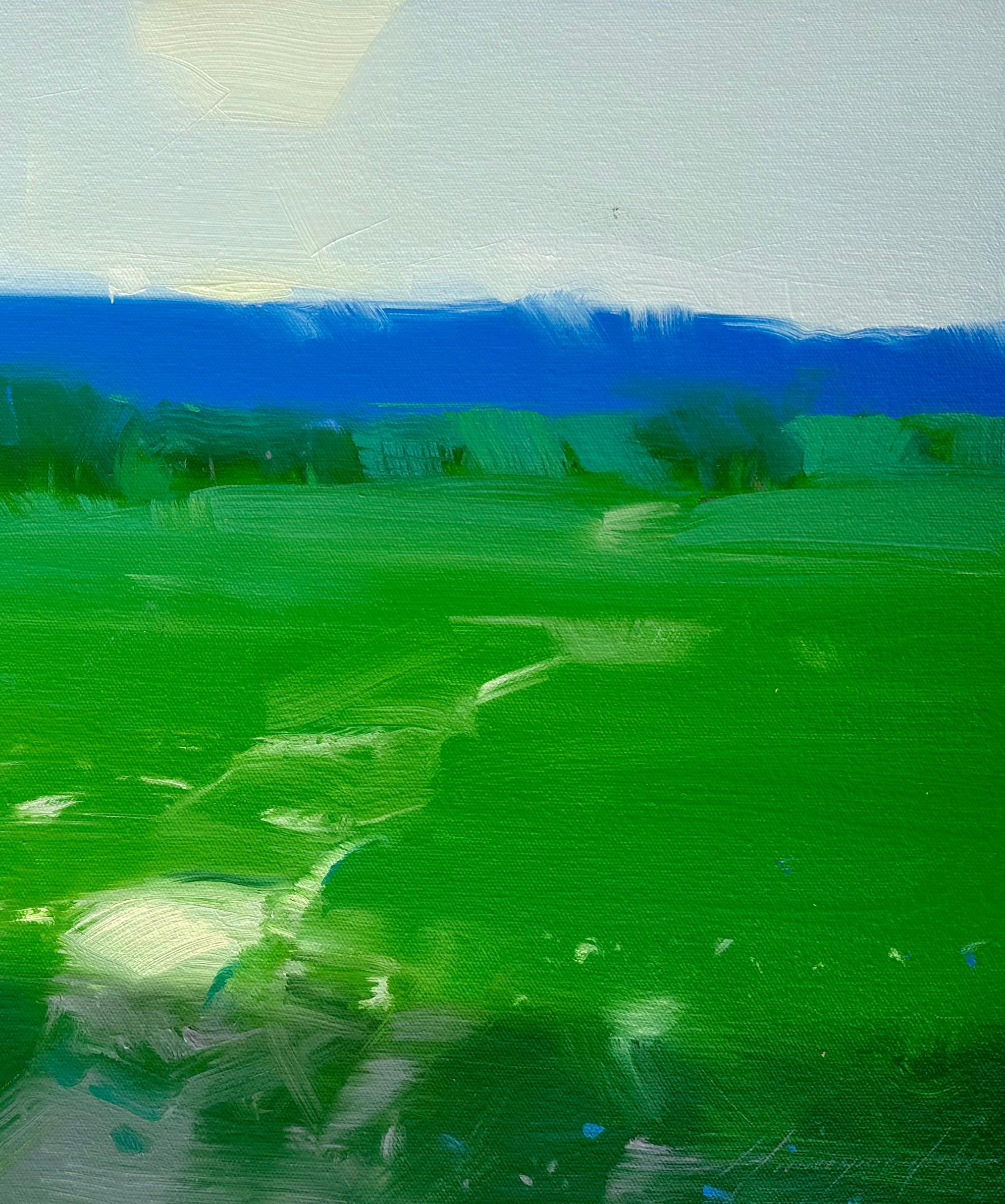 <p>Kommentare des Künstlers<br>Der Künstler Vahe Yeremyan präsentiert eine abstrakte Landschaft mit kräftigen Grün- und Blautönen. Er malt einen weiten Blick auf das Meer aus der Perspektive einer weiten Weide. Vahe schafft subtile Nuancen innerhalb