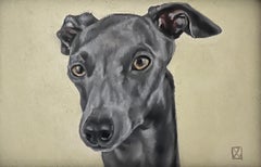 Peinture de petit chien d'un lévrier curieux et intrépide se concentrant sur quoi ?