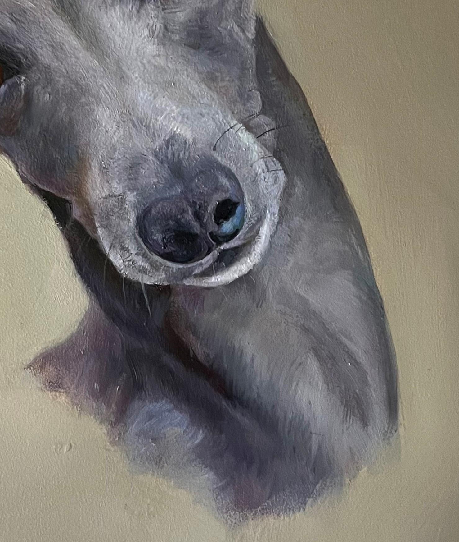 Valarie Wolfs elegantes Hundebild 