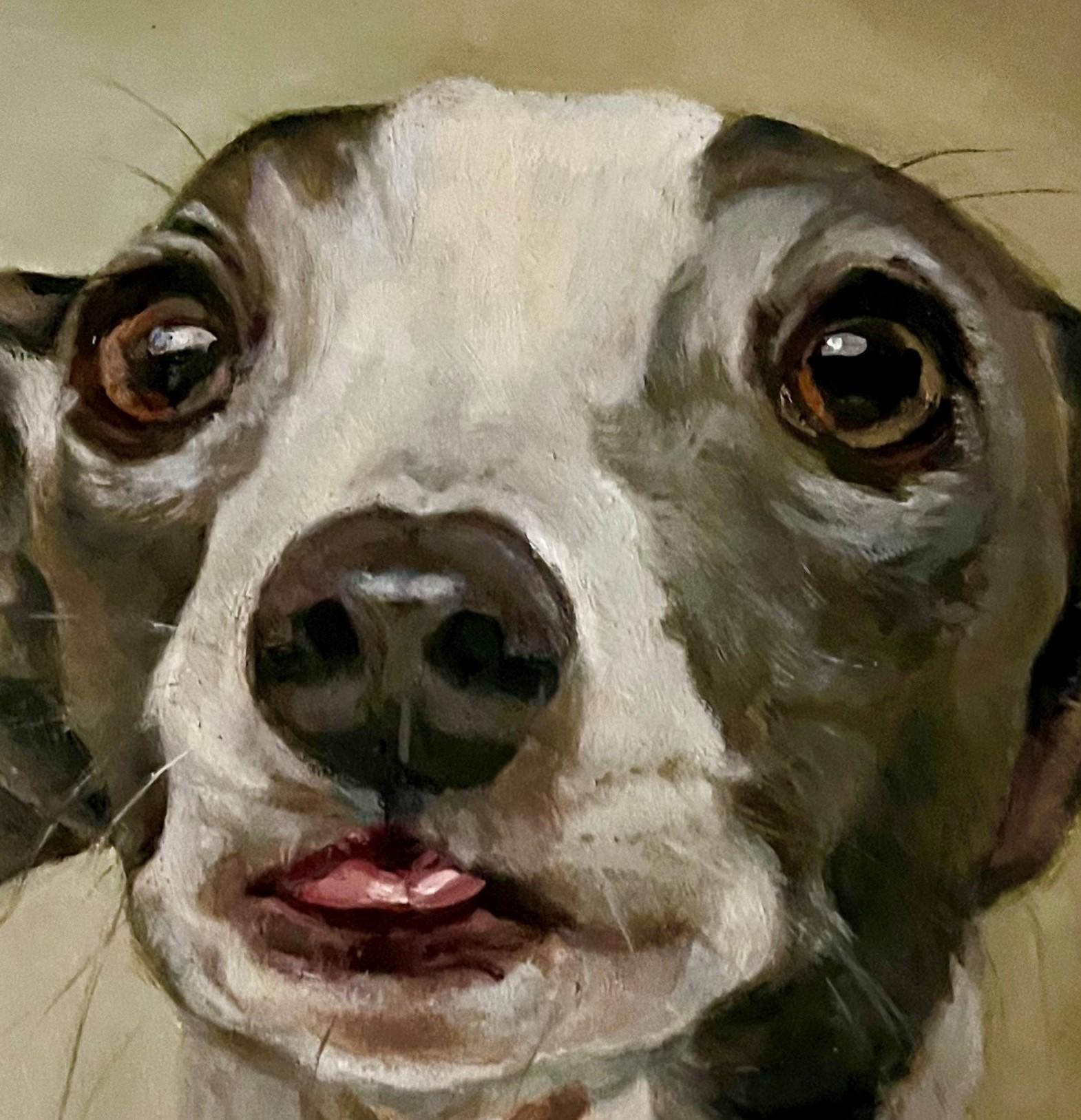Dog Painting of an Italian Greyhound Sticking out His Tongue Waiting for a Meal  1