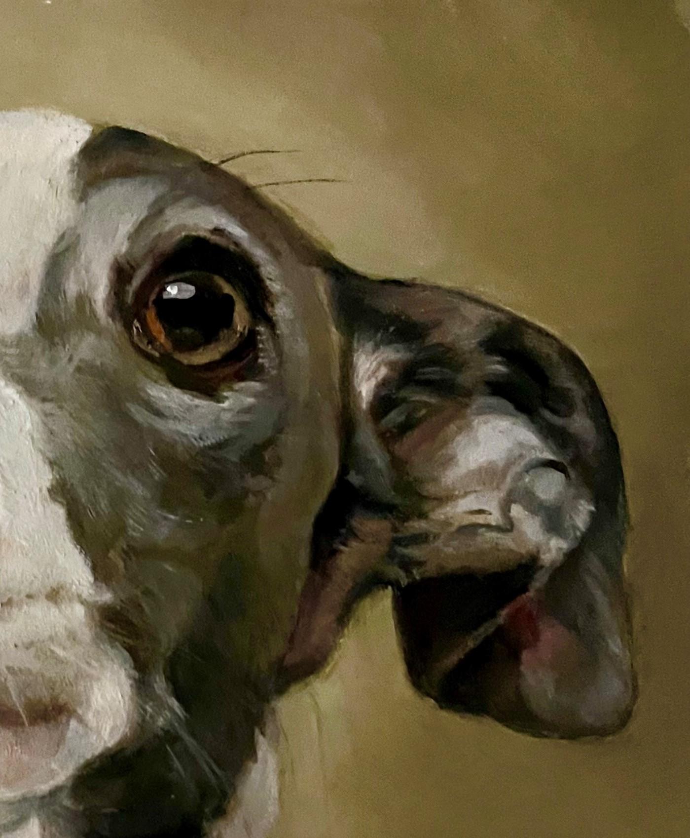 Dog Painting of an Italian Greyhound Sticking out His Tongue Waiting for a Meal  2