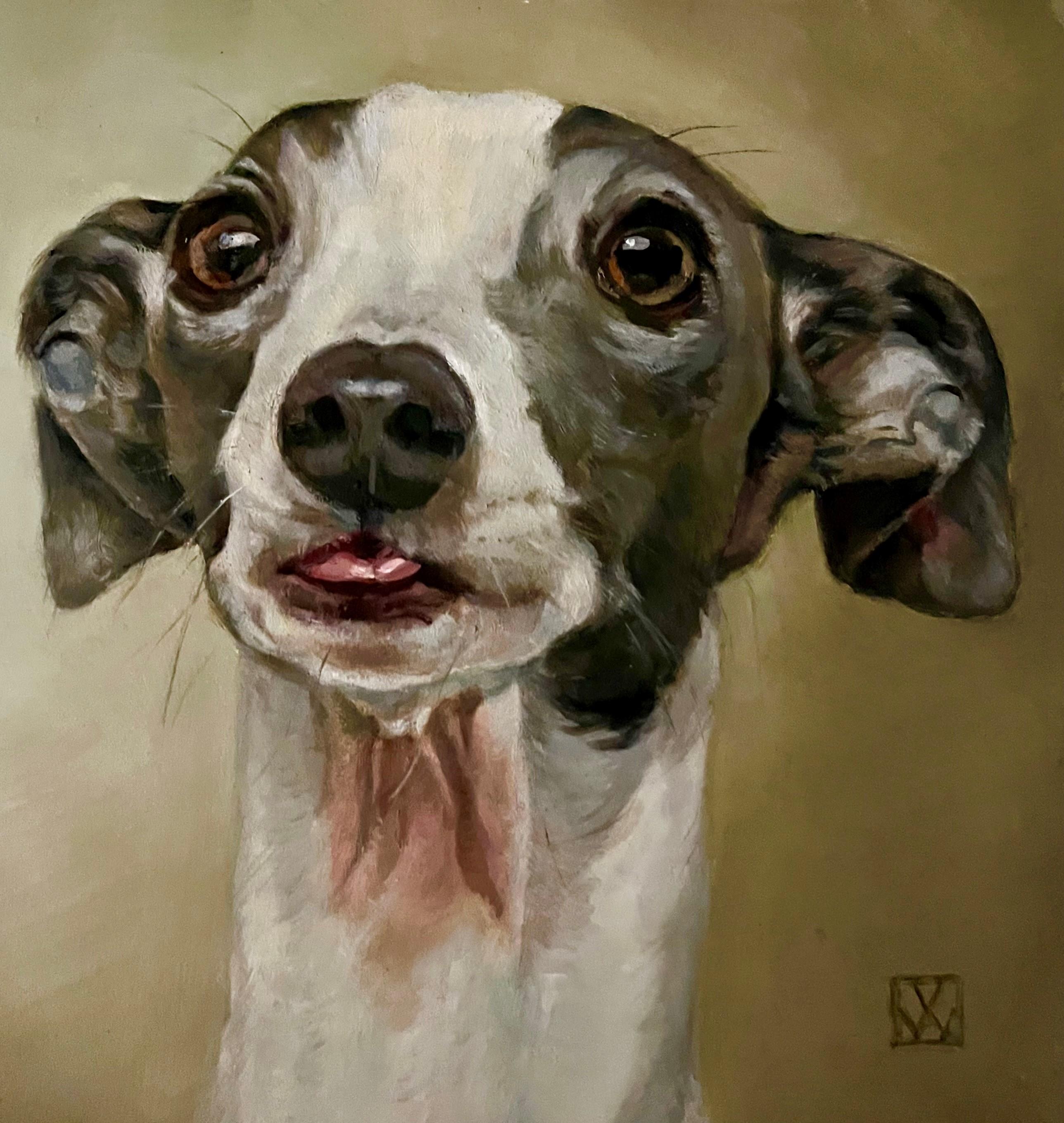 Valarie Wolf Portrait Painting - Dog Painting of an Italian Greyhound Sticking out His Tongue Waiting for a Meal 