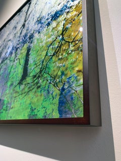 Blossom Blizzard, Stanmer Park, Sussex; Spring landscape with Gold leaf, Framed