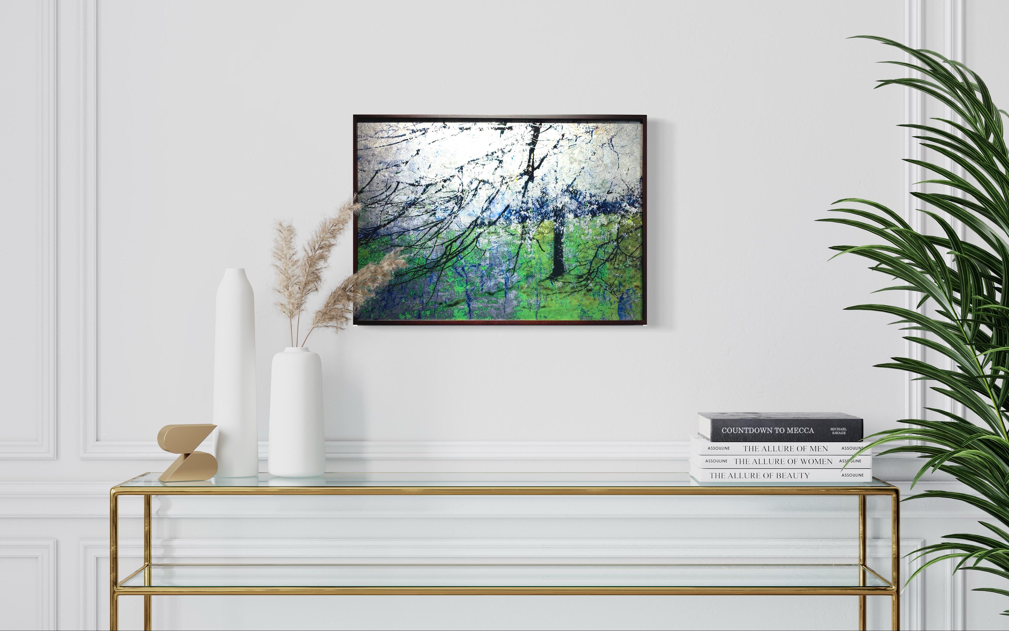 Blossom Blizzard, Stanmer Park, Sussex; Spring landscape with Gold leaf For Sale 1