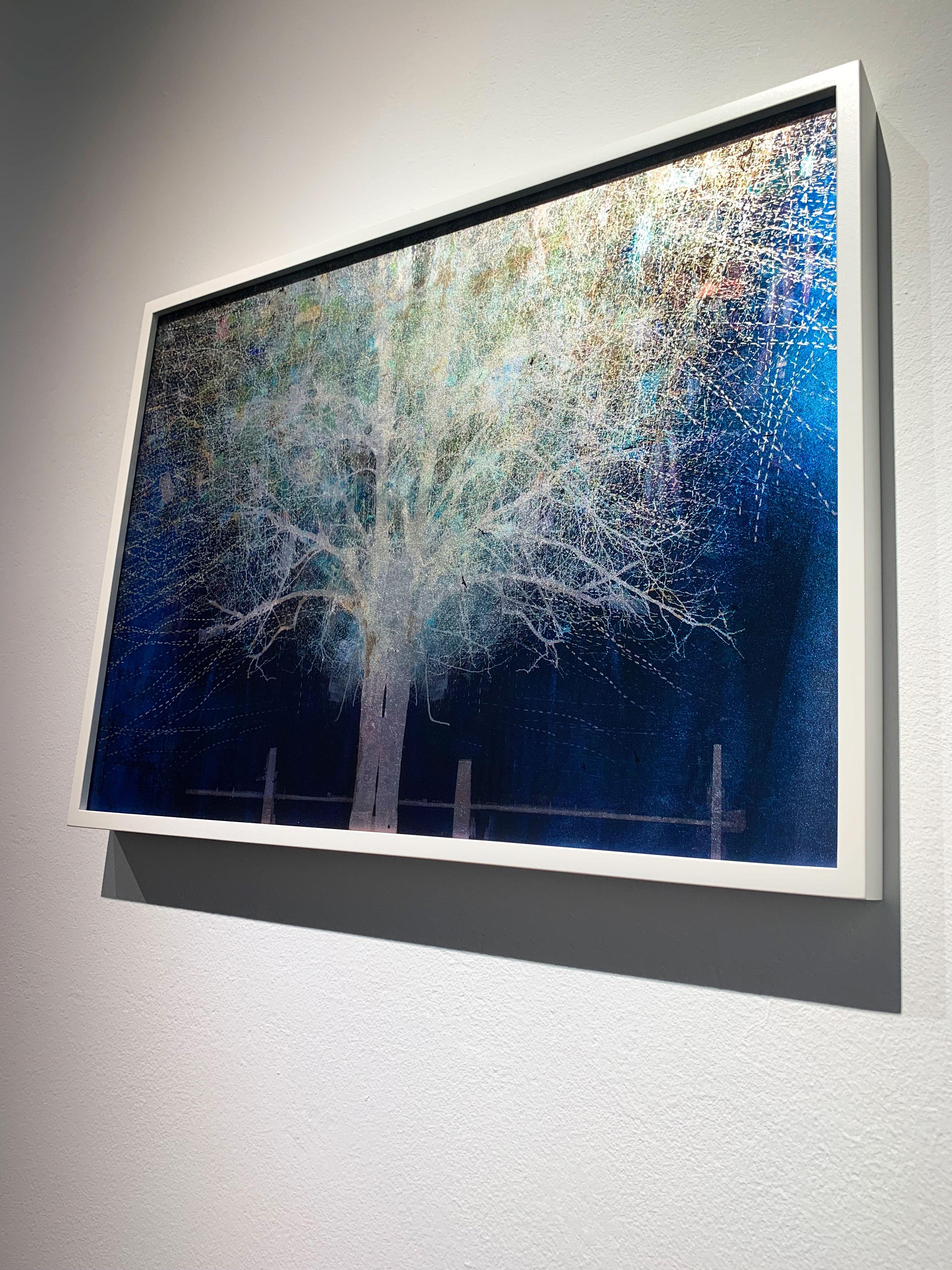 Impression d'arbre en forme de lune montante bleue sur verre avec feuille d'or blanc dans un cadre blanc - Or Color Photograph par Valda Bailey