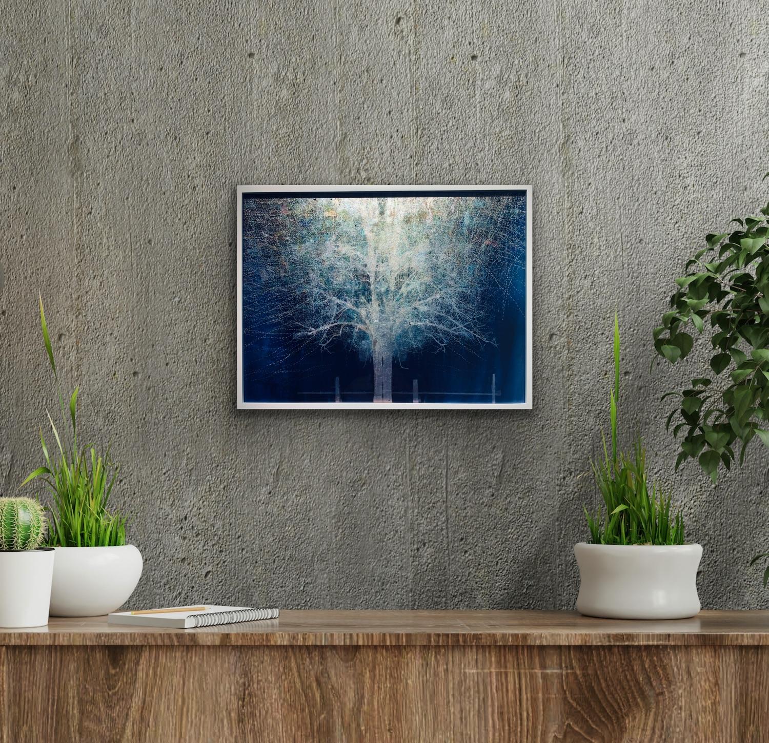 Blue Moon Rising Tree Print on Glass with White Gold leaf in white frame frame For Sale 2