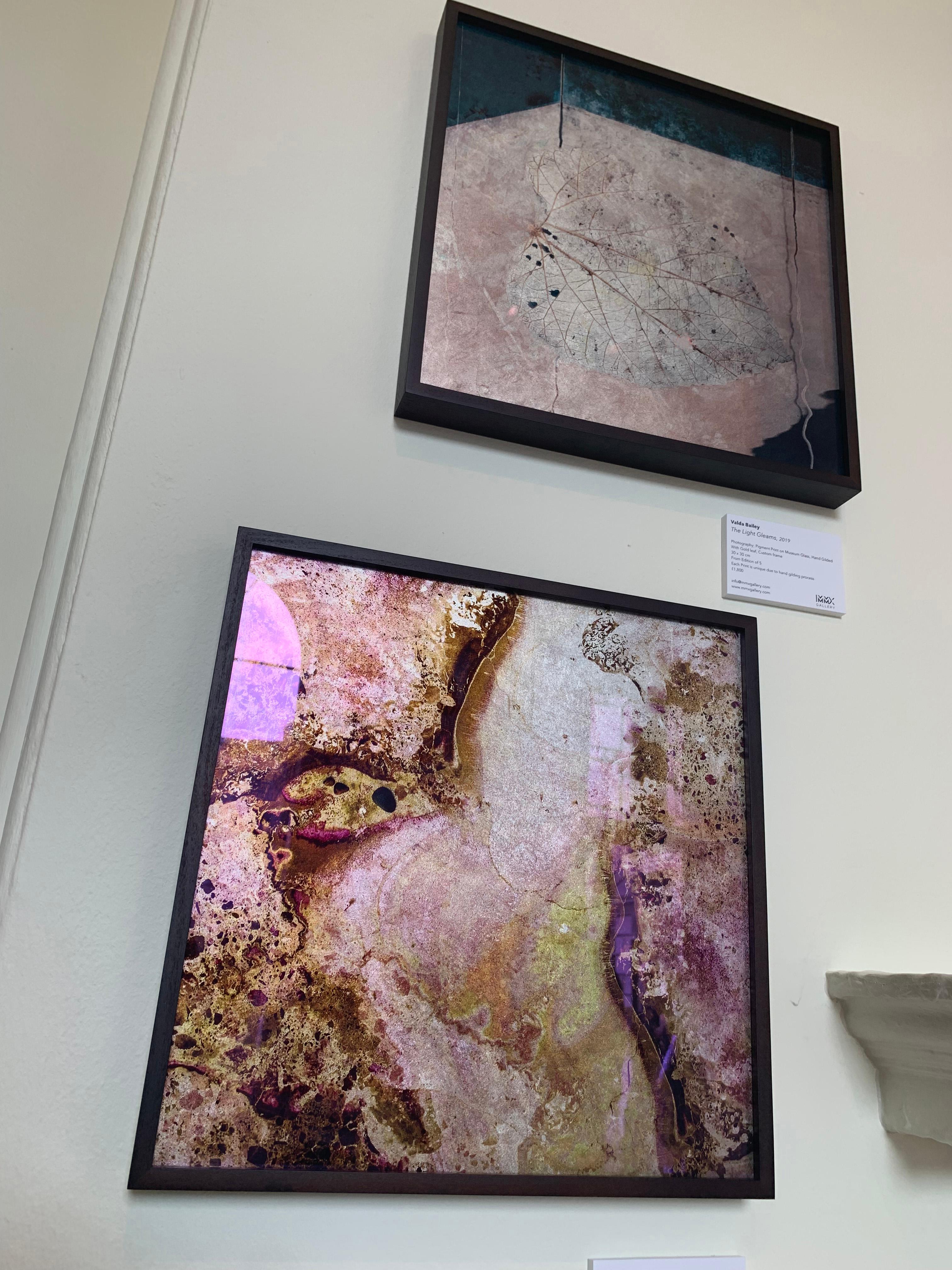 Cosmos I - Printed on Museum Glass and hand gilded with Pink and White Gold leaf For Sale 1