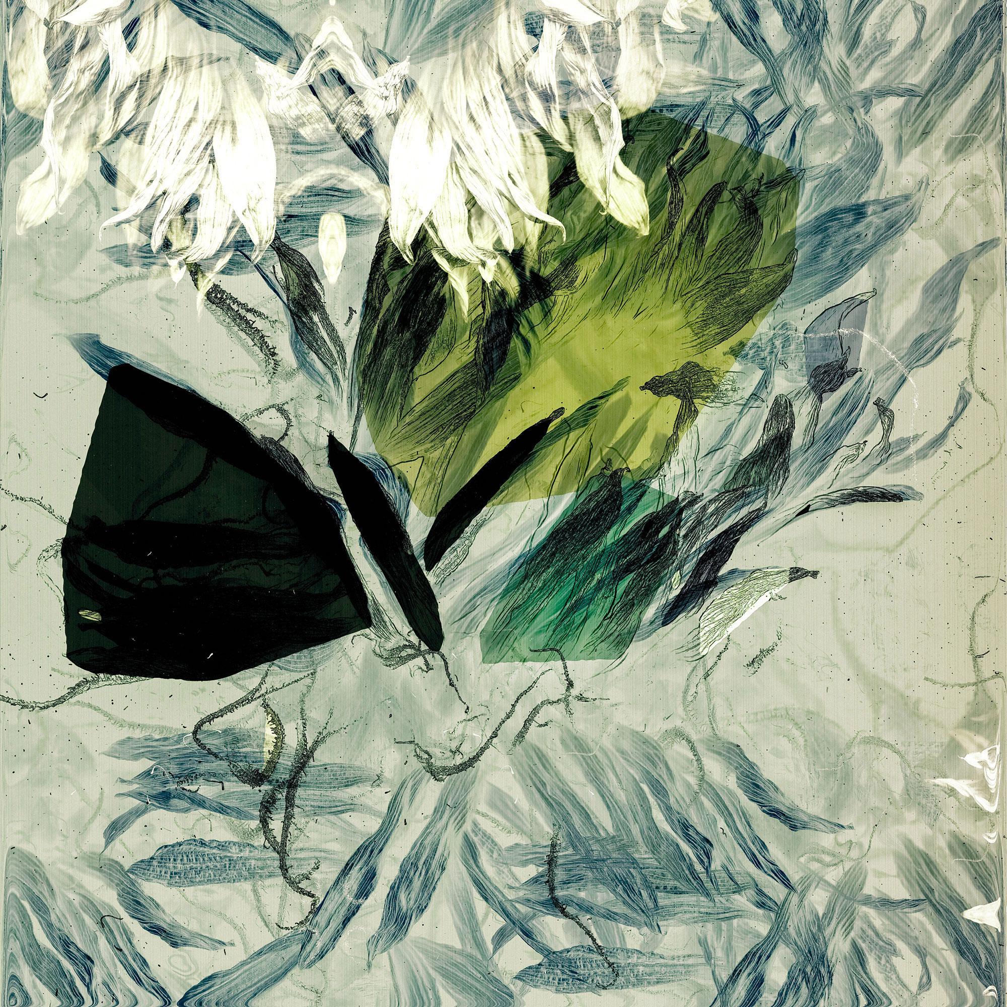Abstract Photograph di Valda Bailey - June Melody - Stampa astratta su vetro da museo con foglia bianca e argento