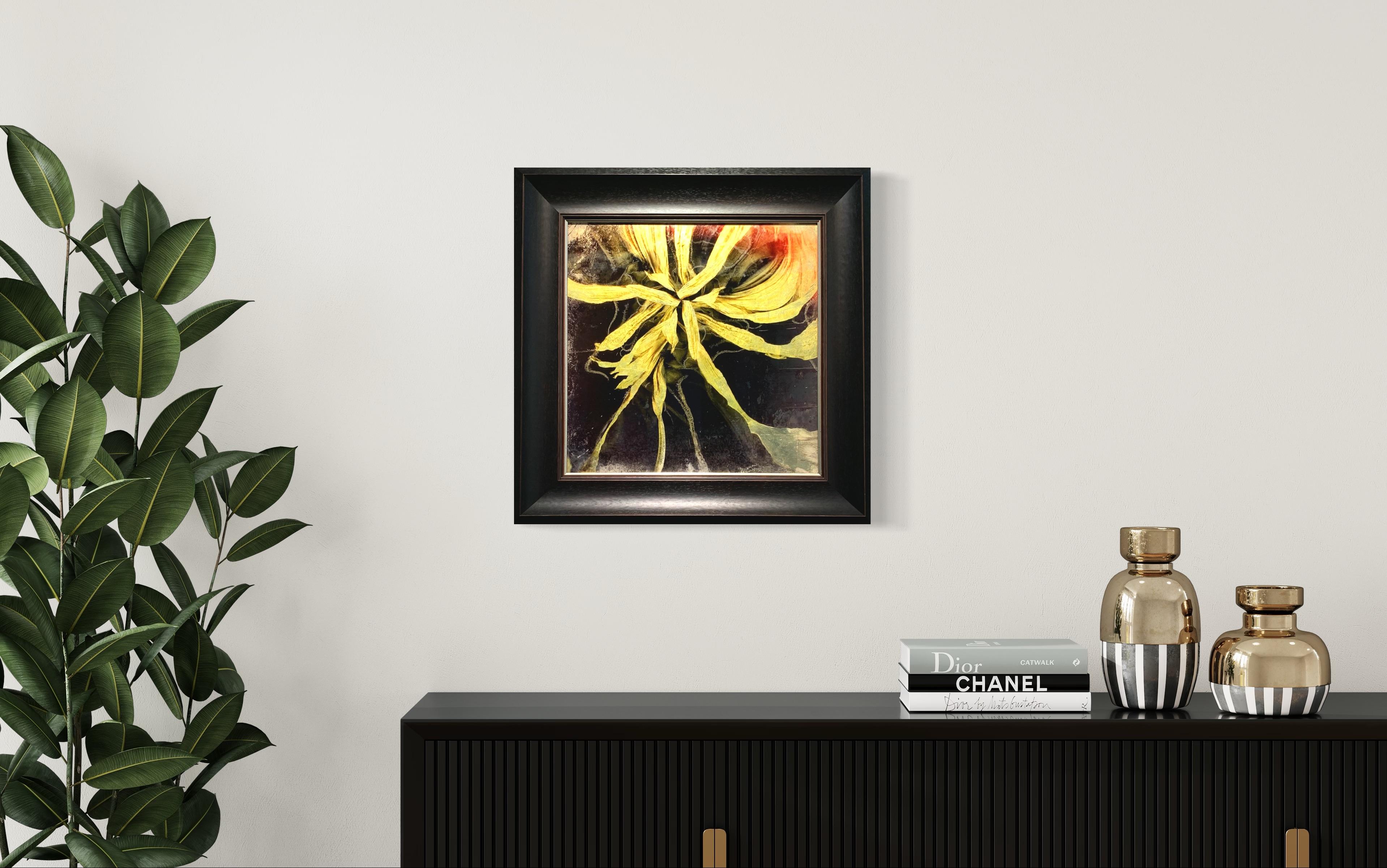 Estampado de Estrellas y Girasoles sobre Vidrio con Pan de Oro Limón, enmarcado al estilo victoriano - Color Photograph Negro de Valda Bailey