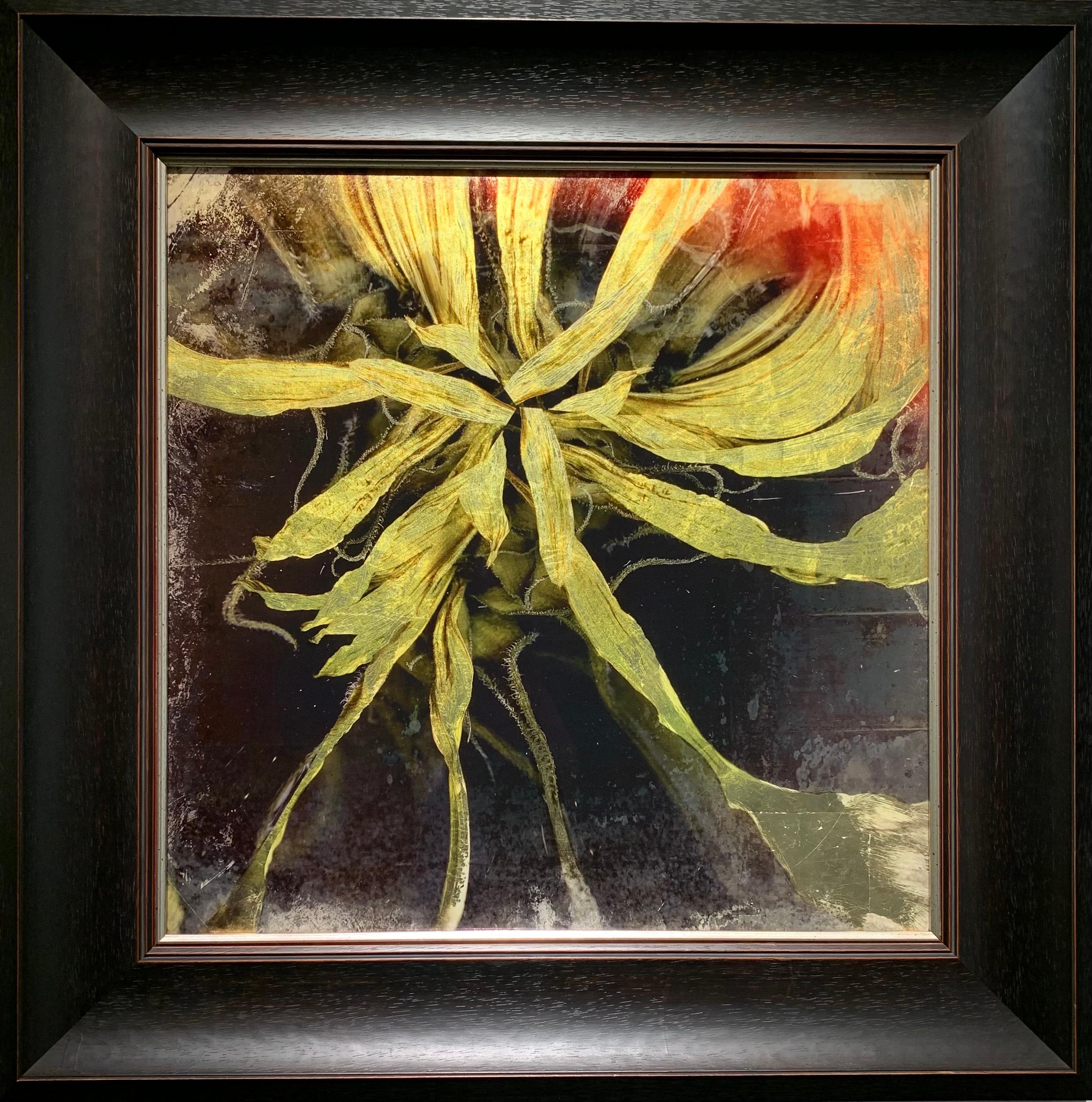 Estampado de Estrellas y Girasoles sobre Vidrio con Pan de Oro Limón, enmarcado al estilo victoriano en venta 4