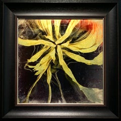 Starburst, Sunflower Print on Glass with Lemon Gold leaf, Victorian style framed