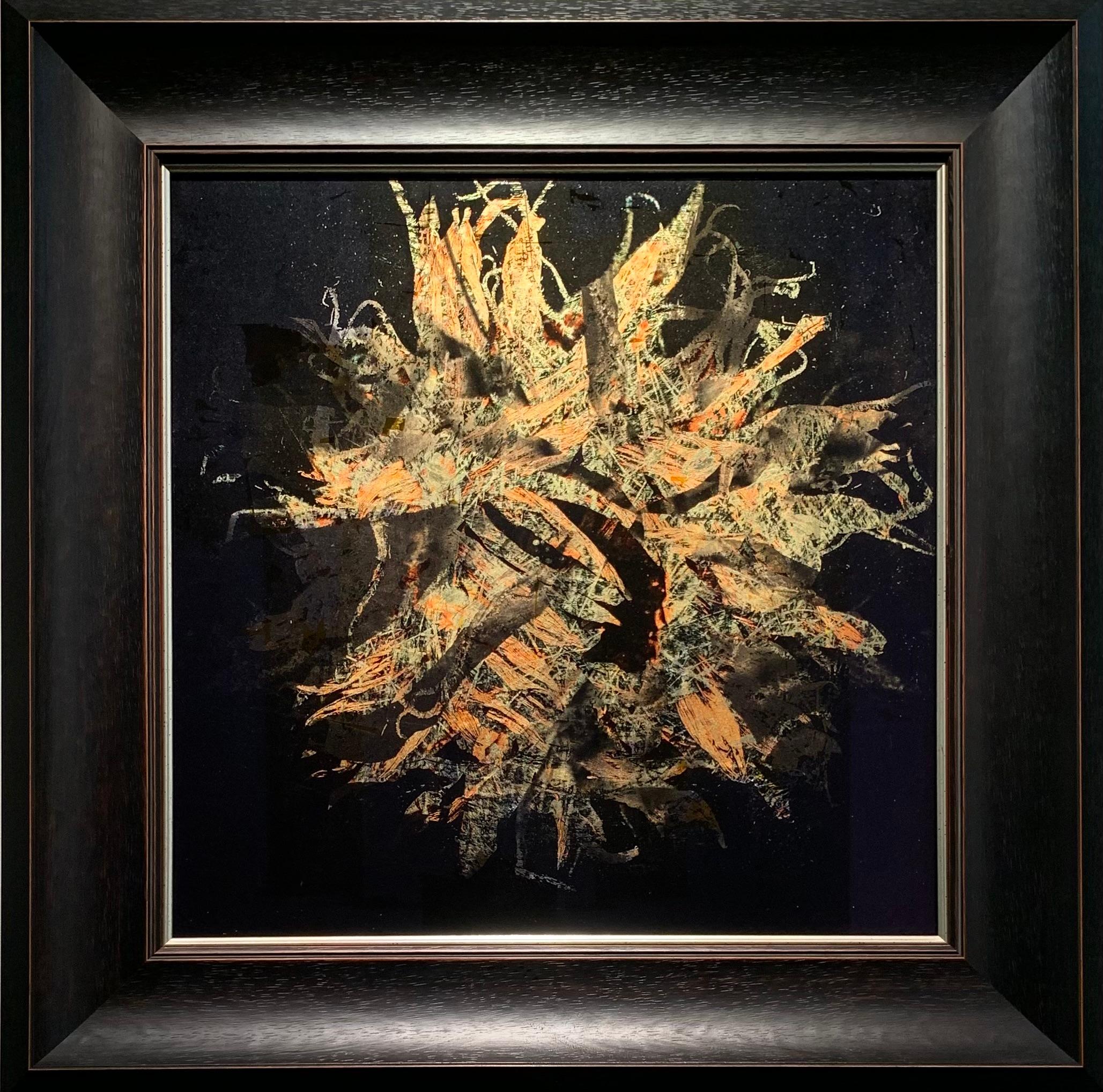 Valda Bailey Still-Life Print - Supernova 2 - Sunflower Print on Museum Glass, hand gilded with Citron Gold leaf