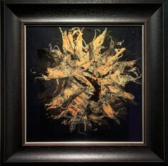 Supernova 2 - Sunflower Print on Museum Glass, hand gilded with Citron Gold leaf