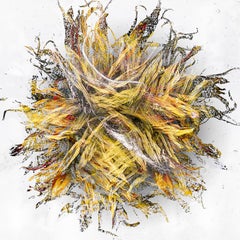 "Supernova" - Fine art print on museum glass with White Gold and Silver leaf
