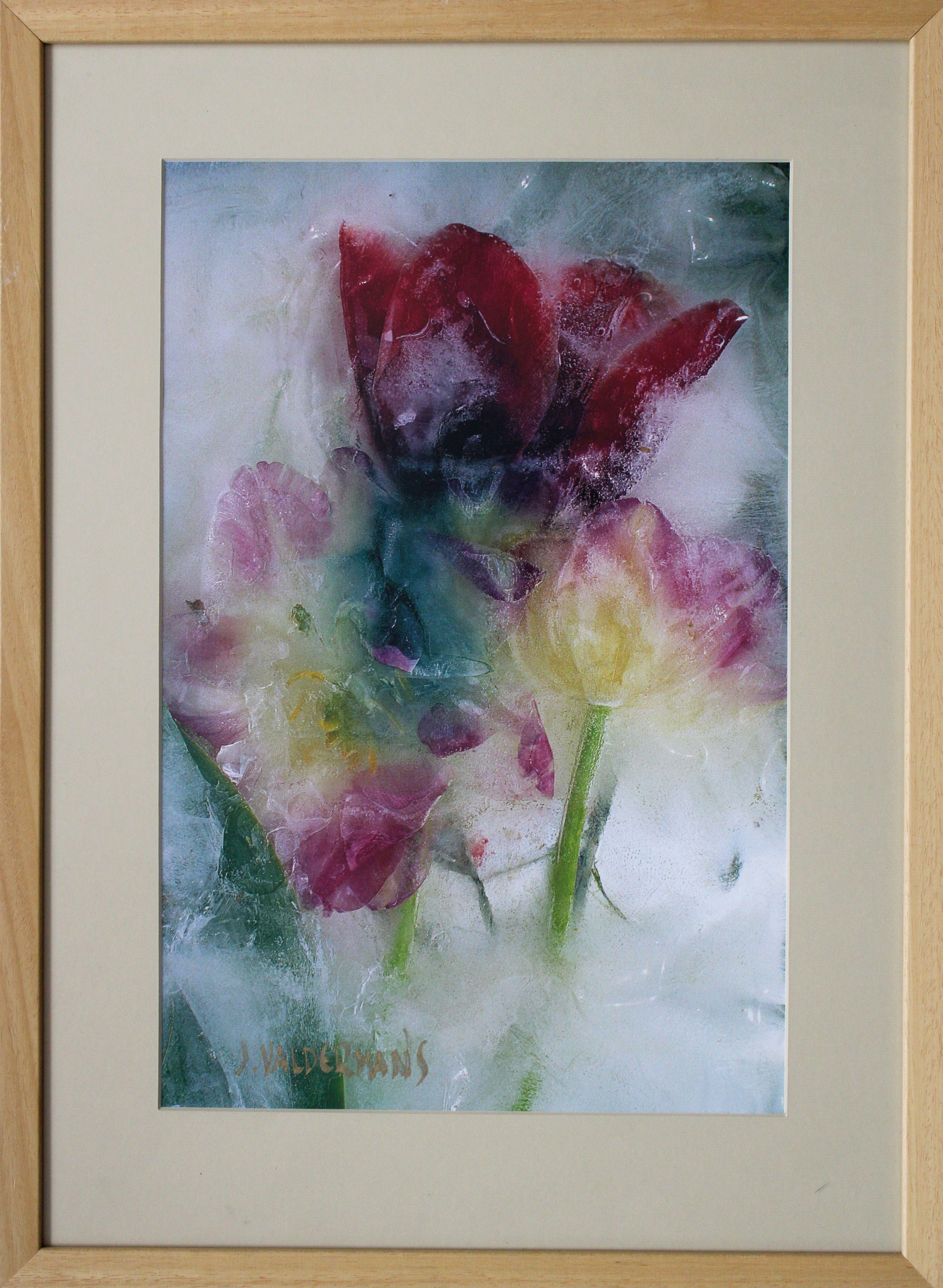 Tulips. 2004, photography, 44x29 cm - Photograph by Valdemars Helmanis