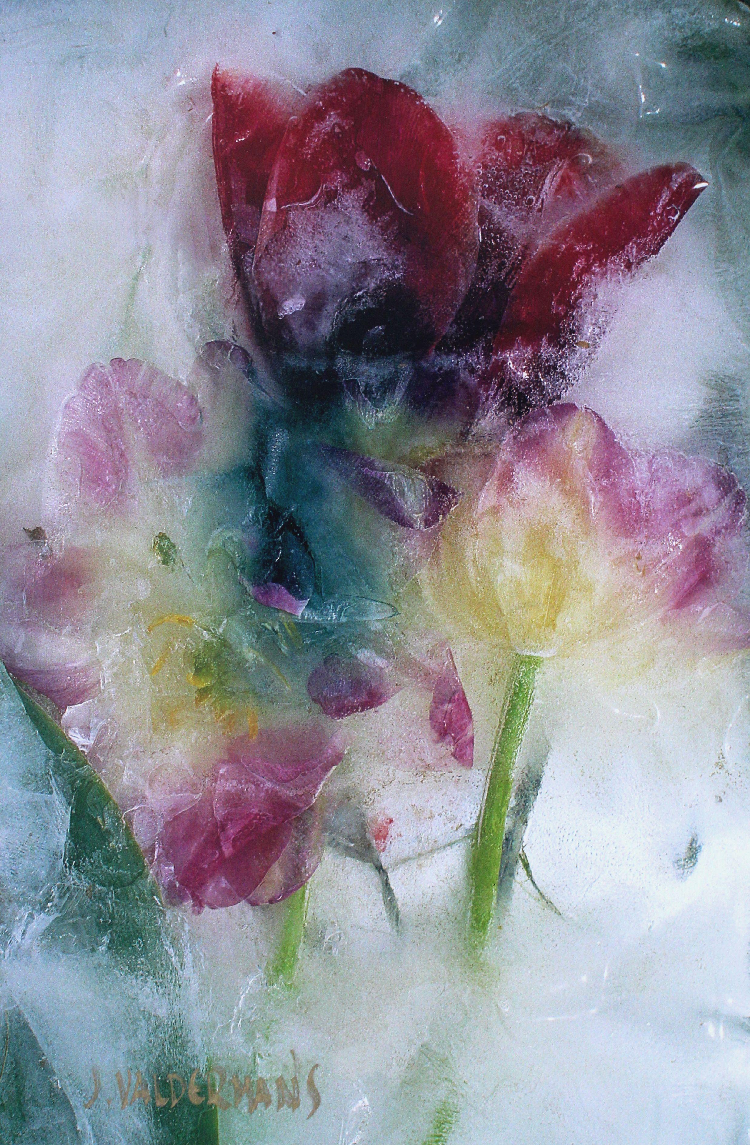 Valdemars Helmanis Color Photograph - Tulips. 2004, photography, 44x29 cm