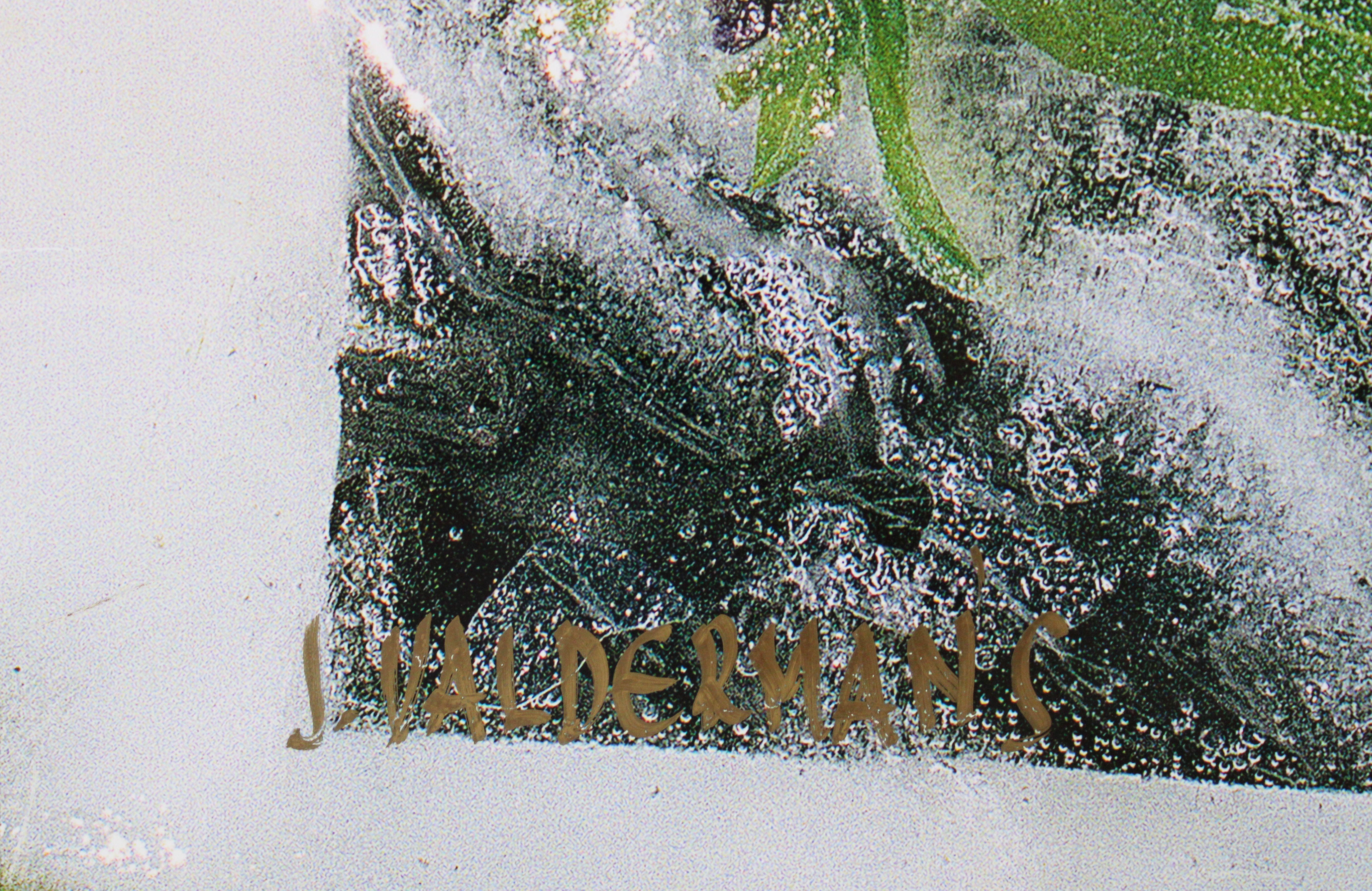 Willowherb. 2004, photography, ice/sun/water, 81x51 cm
