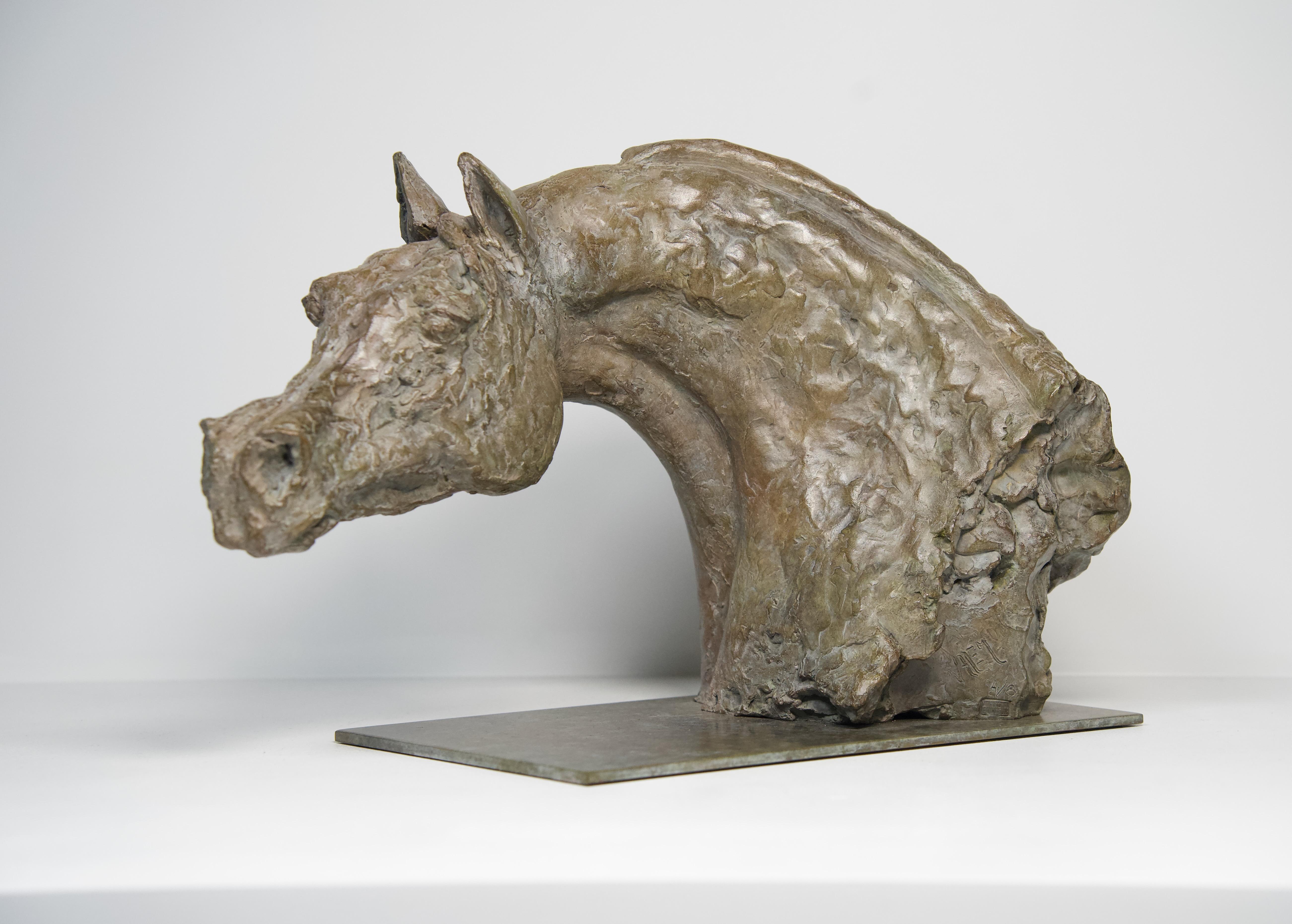 Arabian Horse Bronze Sculpture by Valem, Edition 4/8
