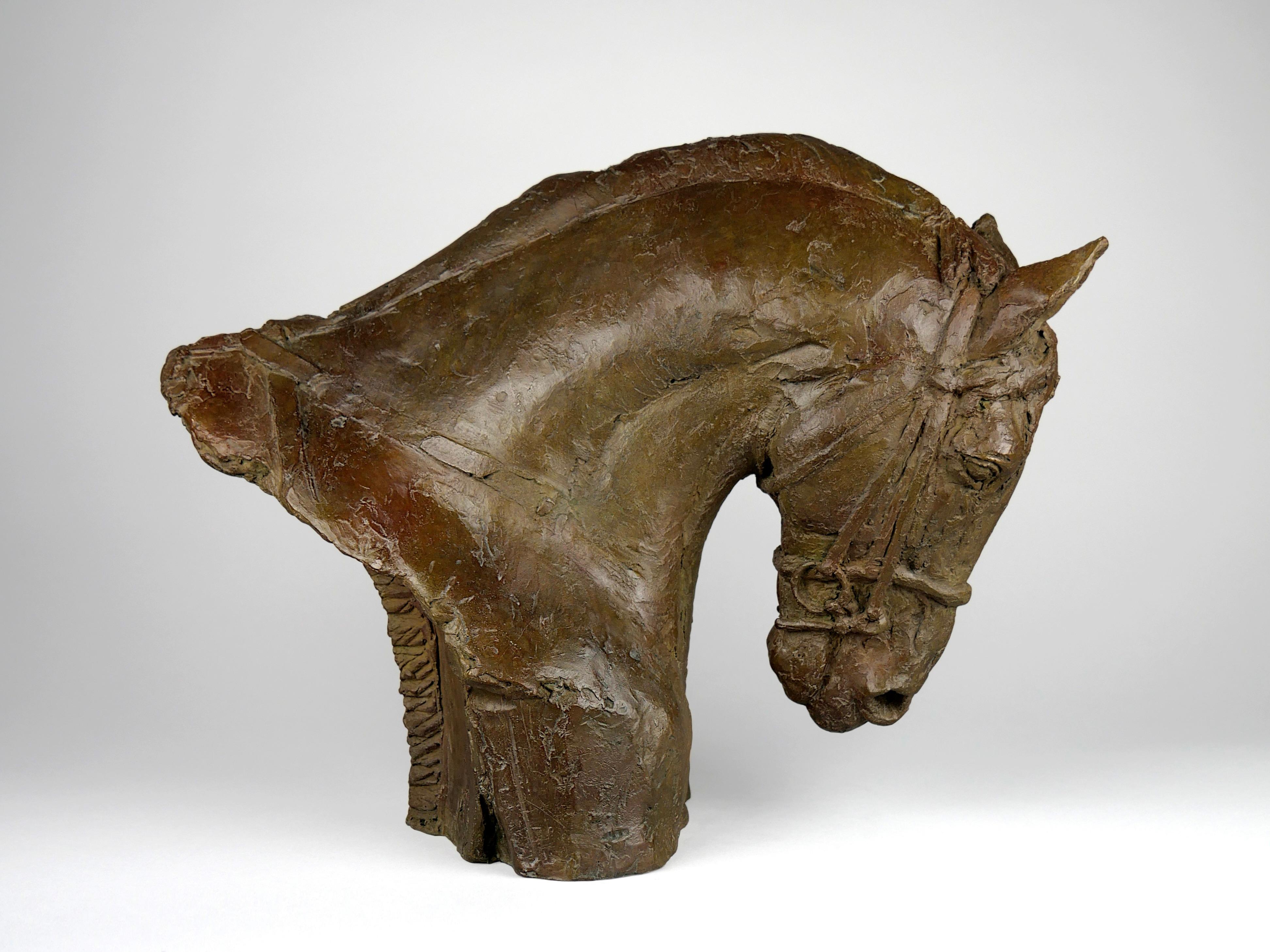 Dieses Werk stellt einen Sportscheck für die Arbeit dar. Die Platzierung des Chevals zeugt sowohl von seiner Eleganz als auch von seiner Kraft. Es handelt sich um die von Avangini verfasste "2/8"-Epreuve. Valem schenkt den Mustern seiner Skulpturen