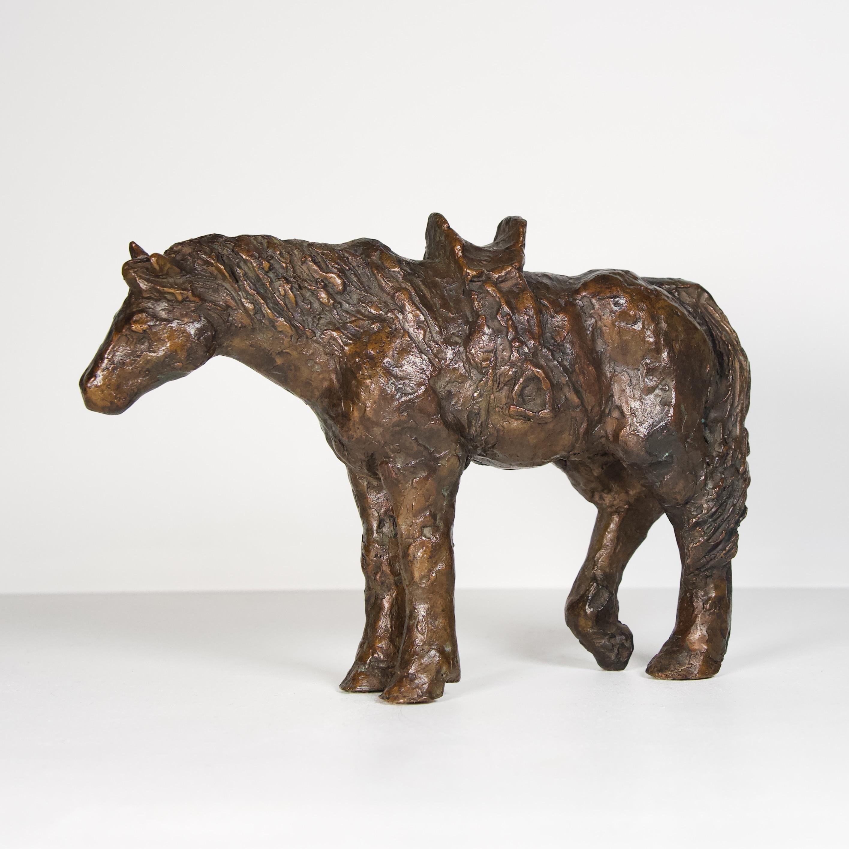 Valem
Vent des steppes
Bronze à patine brune nuancée
H. : 18 cm ; L. : 25,8 cm ; P. 8 cm
Signé « Valem » et numéroté « 1/8 »
Cachet de fondeur Avangini

Cette sculpture de Valem, représente un cheval mongol faisant face au vent des steppes. L'œuvre