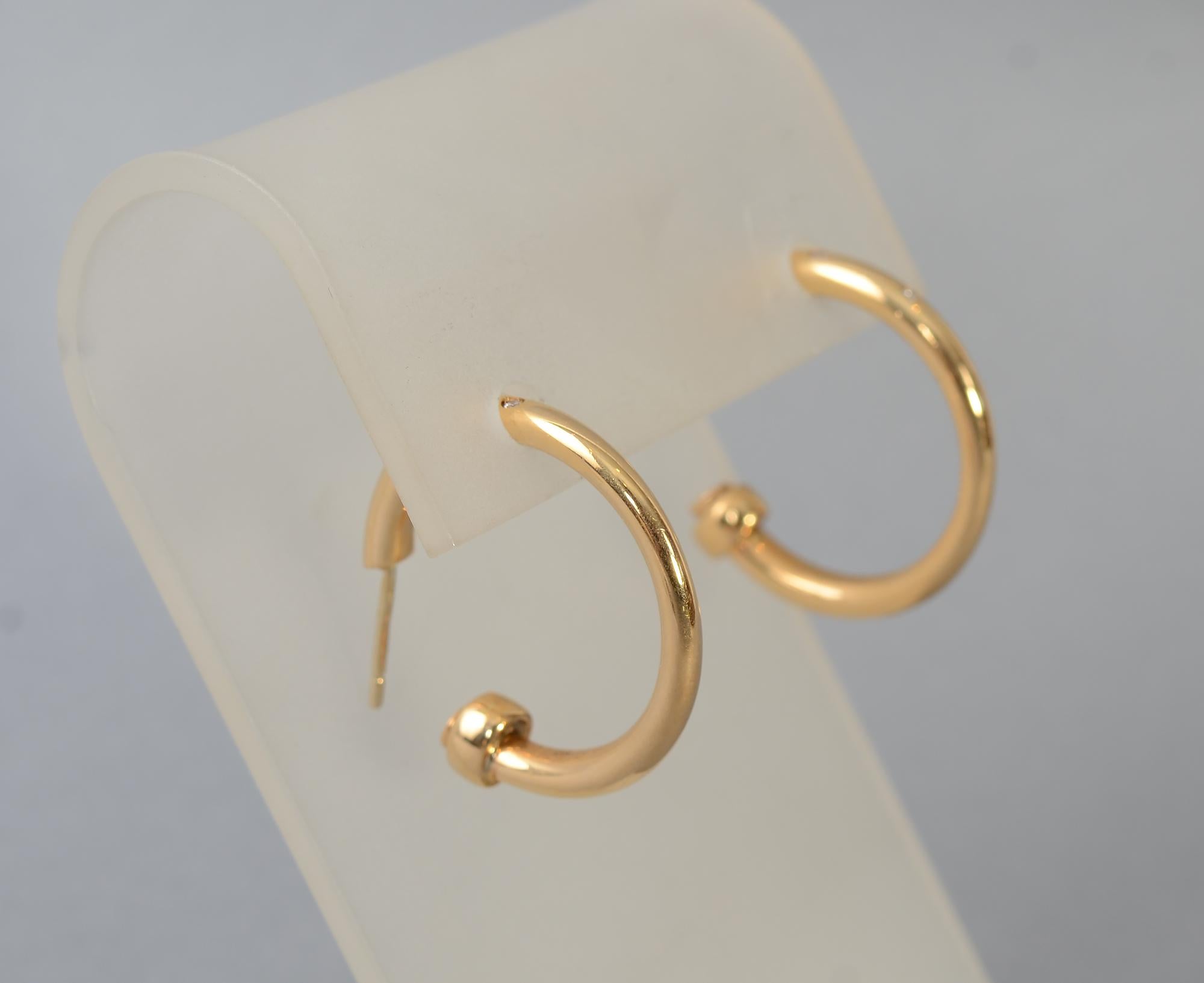 hoop earrings with pendant